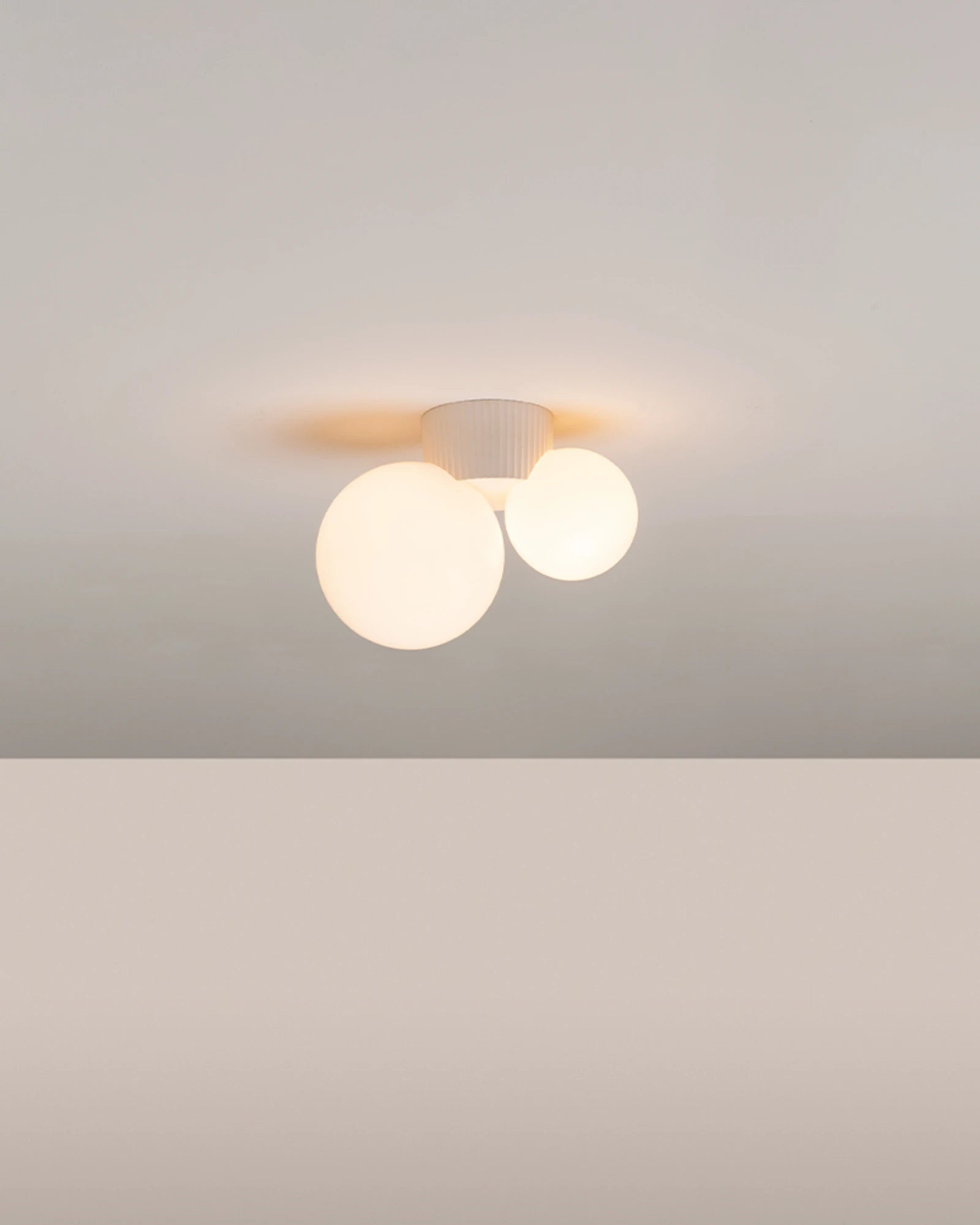 Land 2lt Ceiling Light