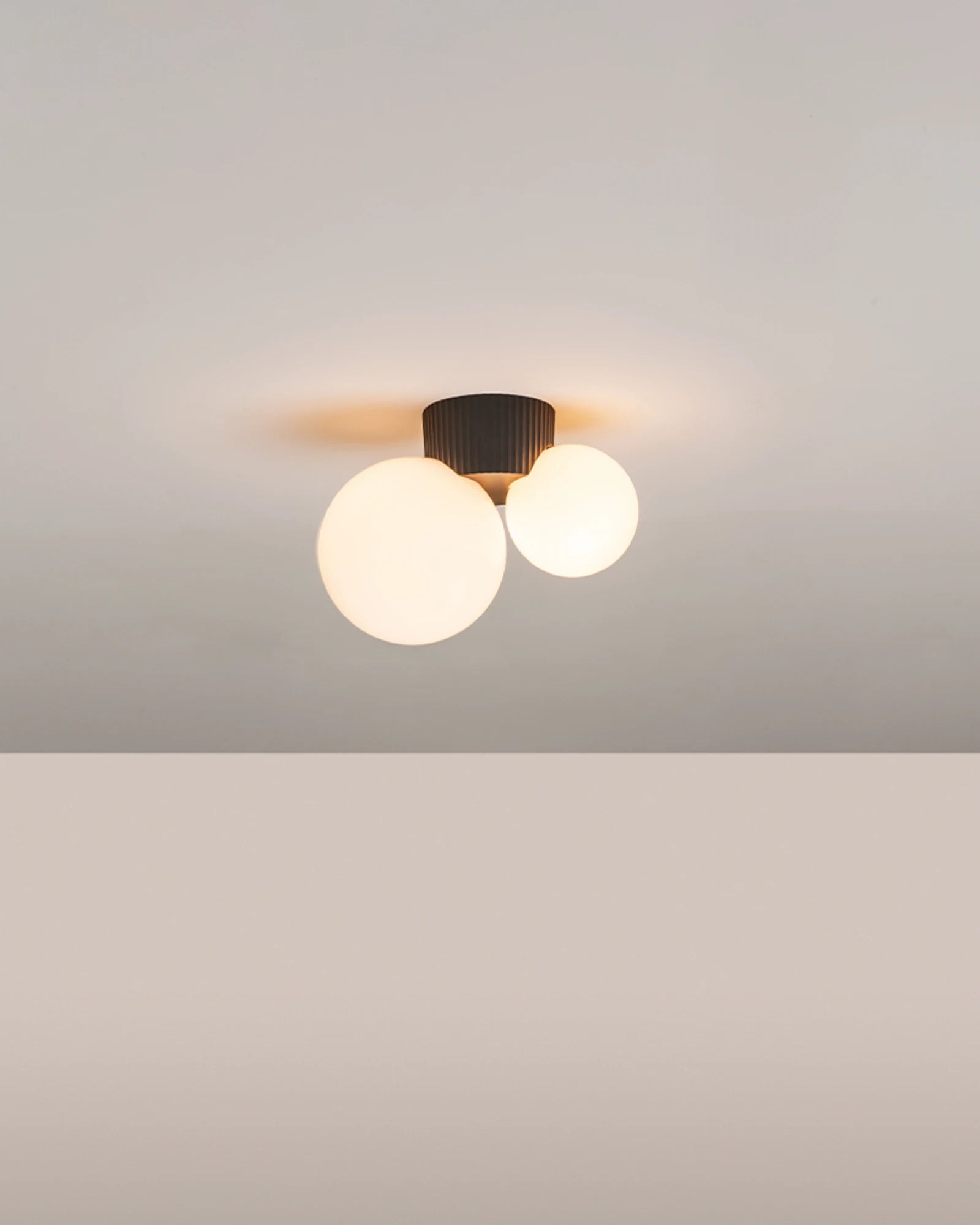 Land 2lt Ceiling Light