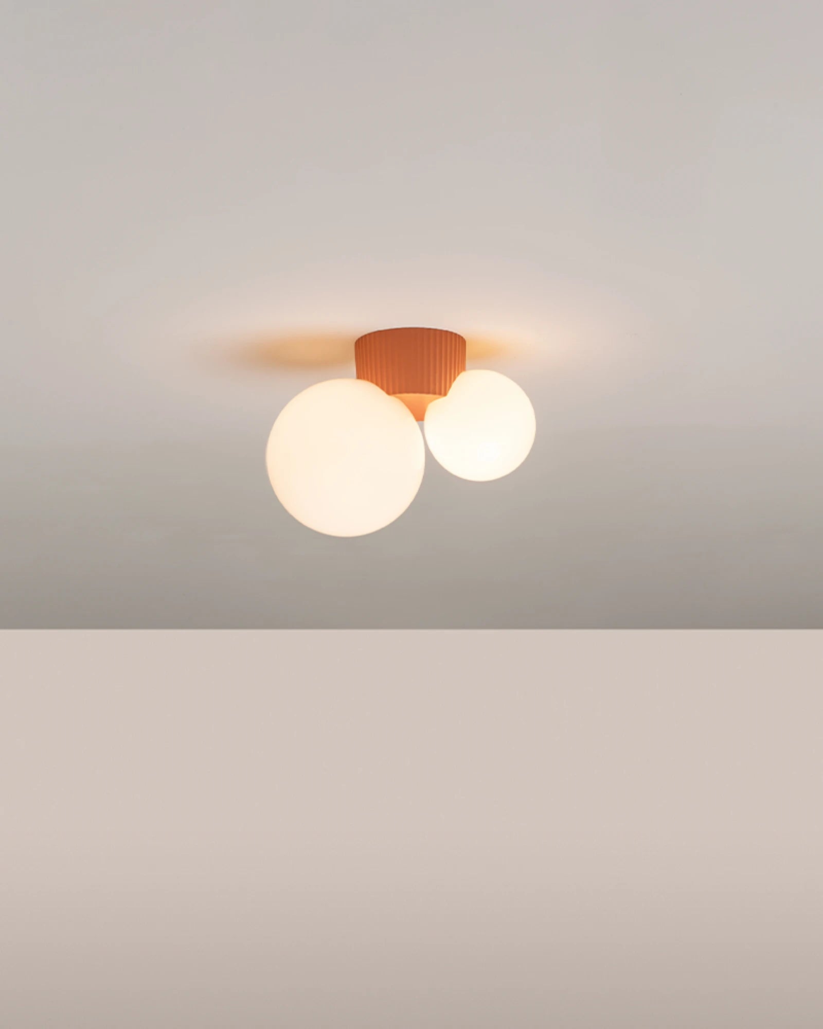 Land 2lt Ceiling Light