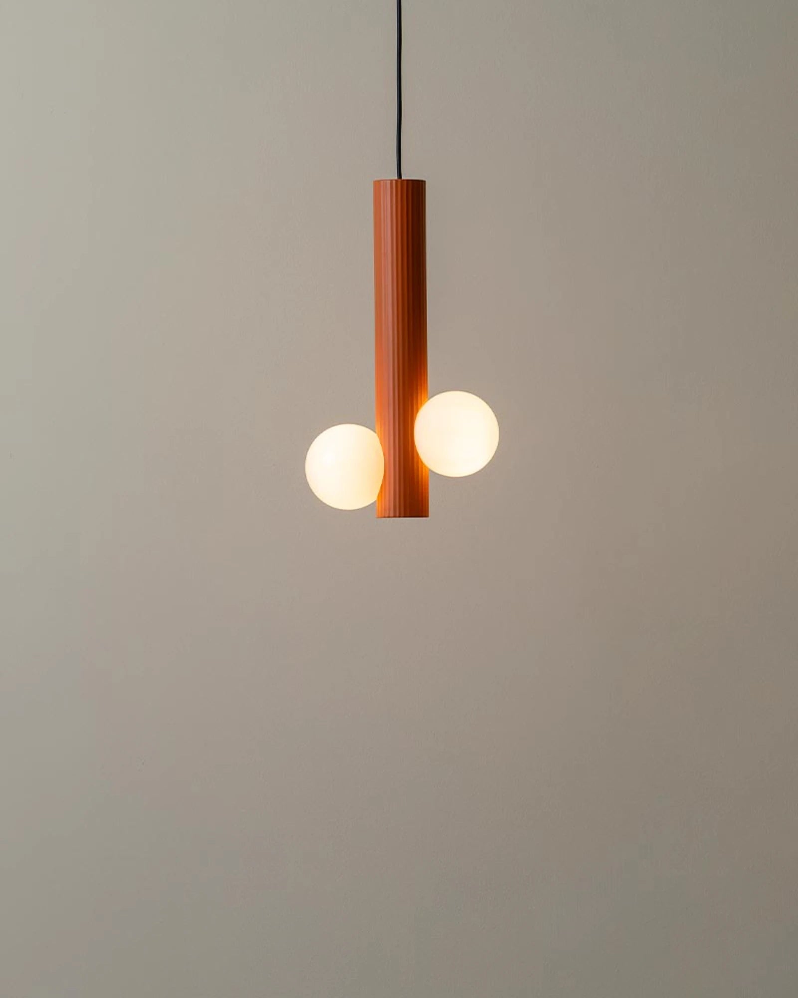 Land Pendant Light