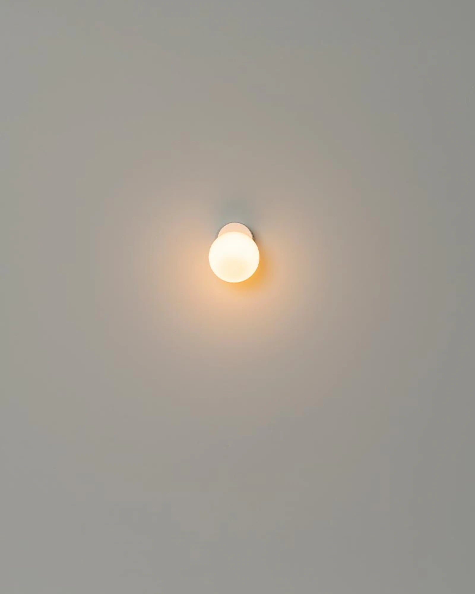 Land Wall Light