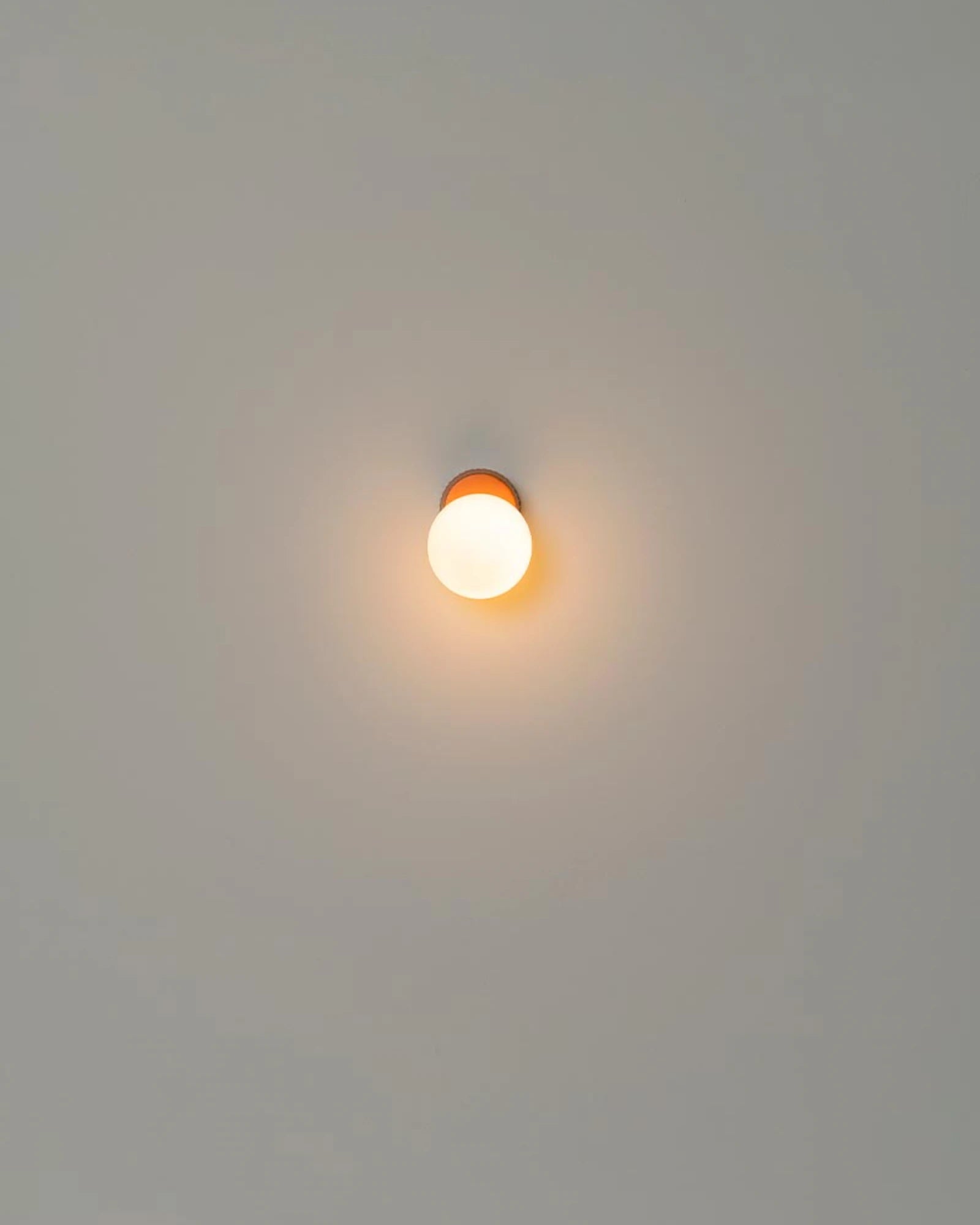 Land Wall Light