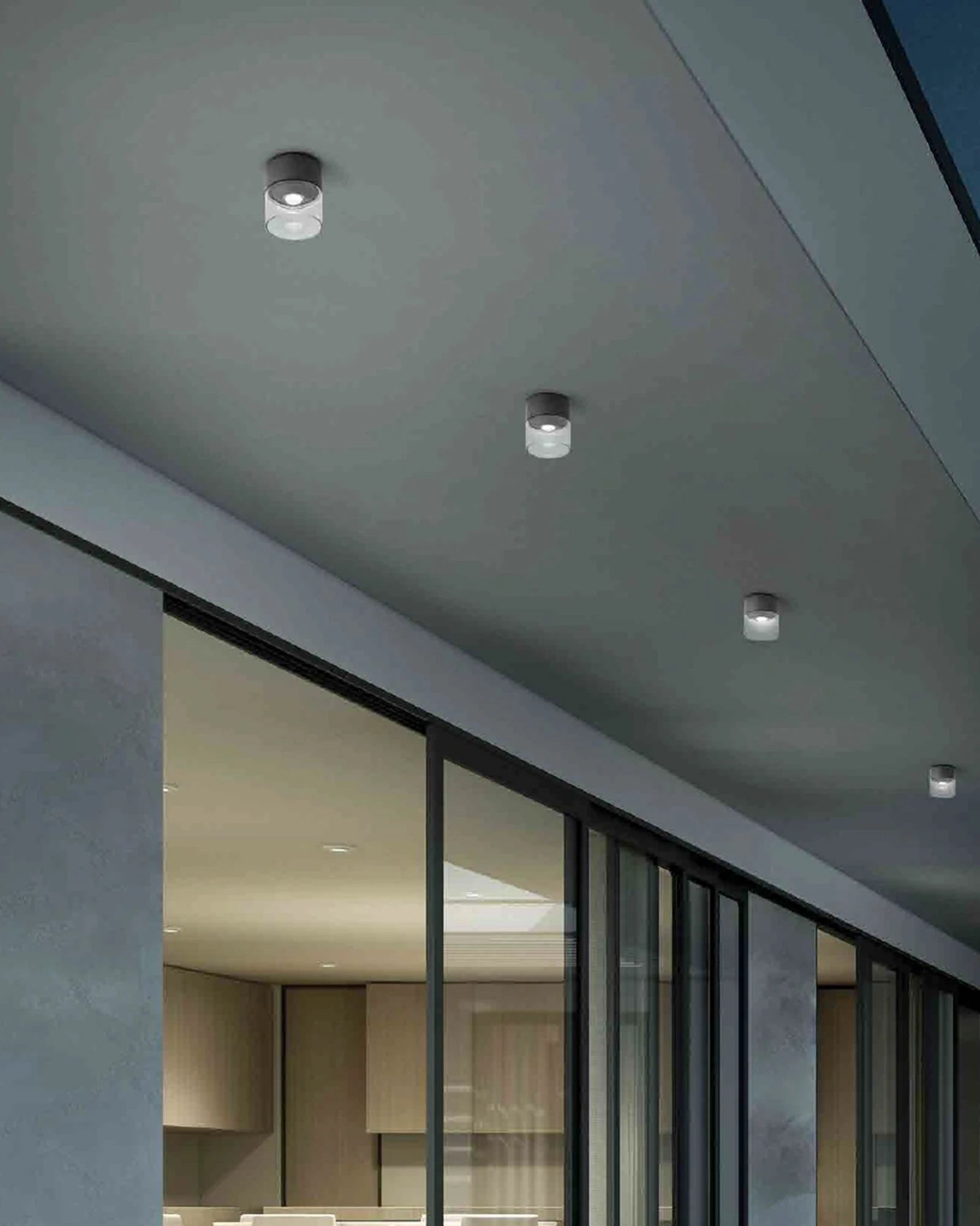 Lens Outdoor Ceiling Light