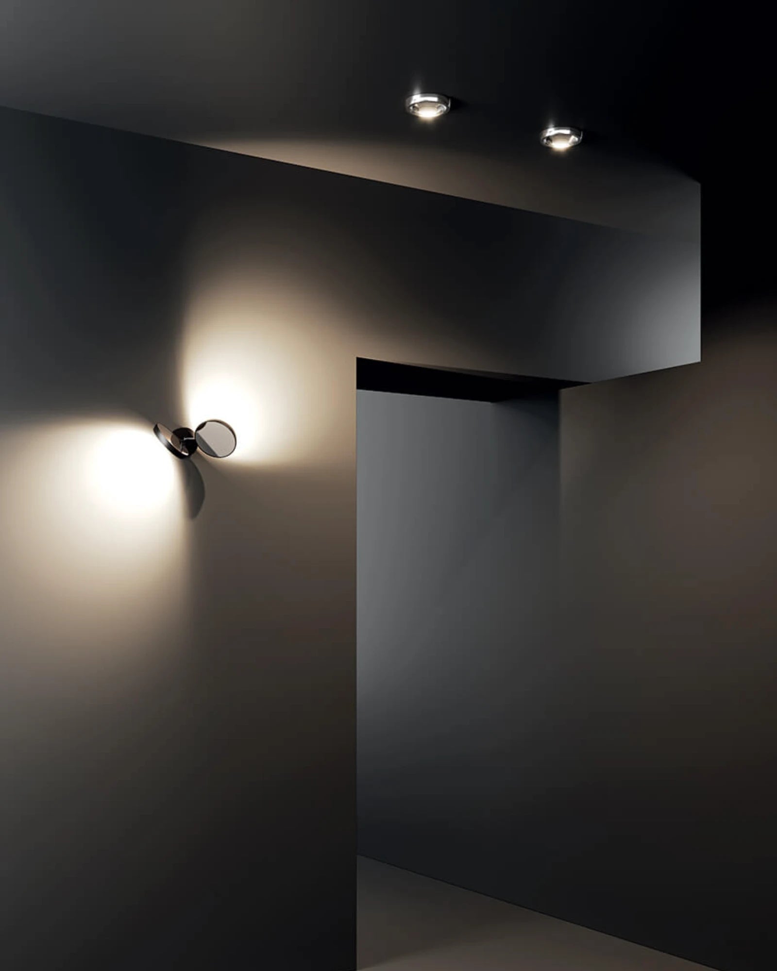 Nautilus Wall Light