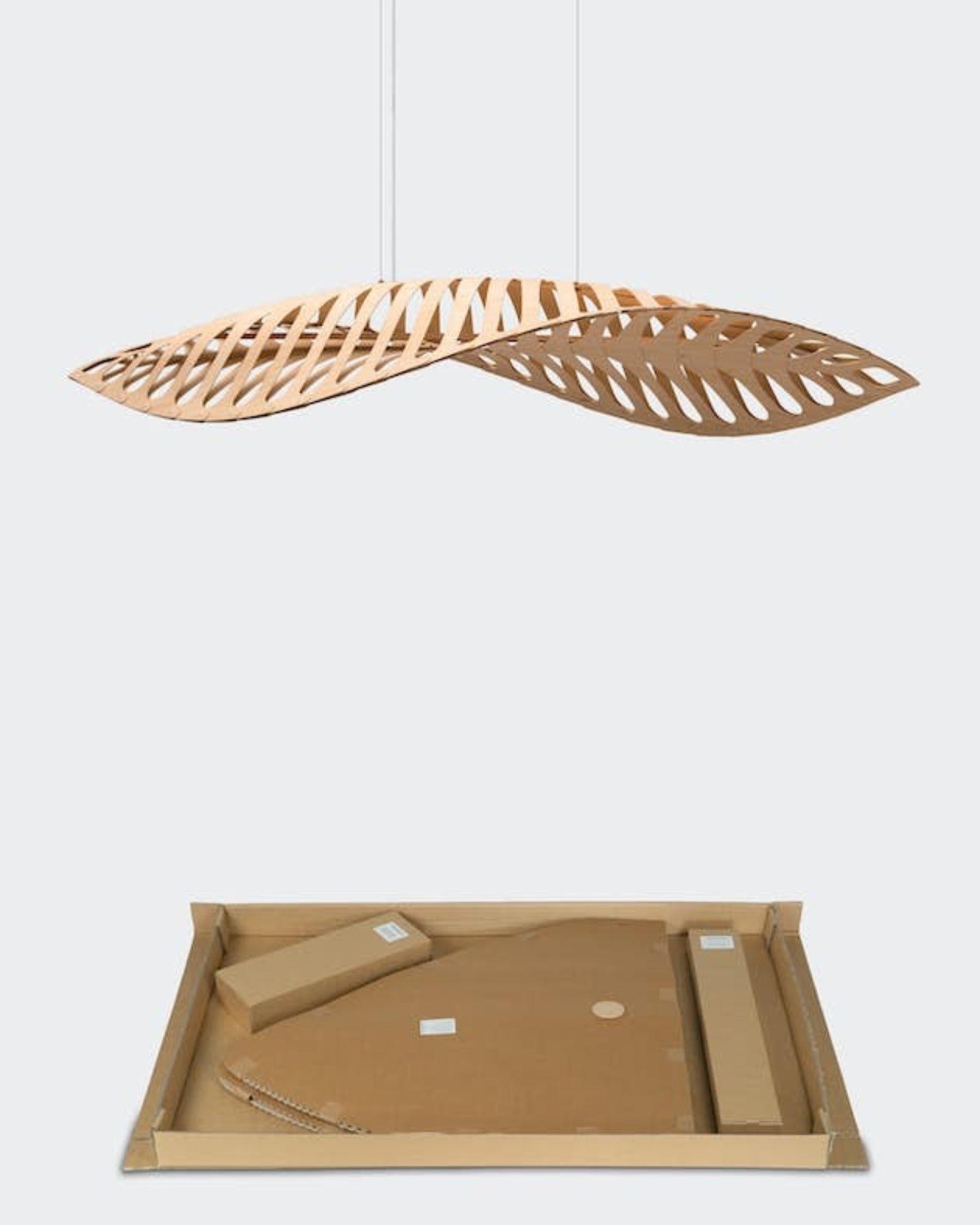 Navicula Pendant Light