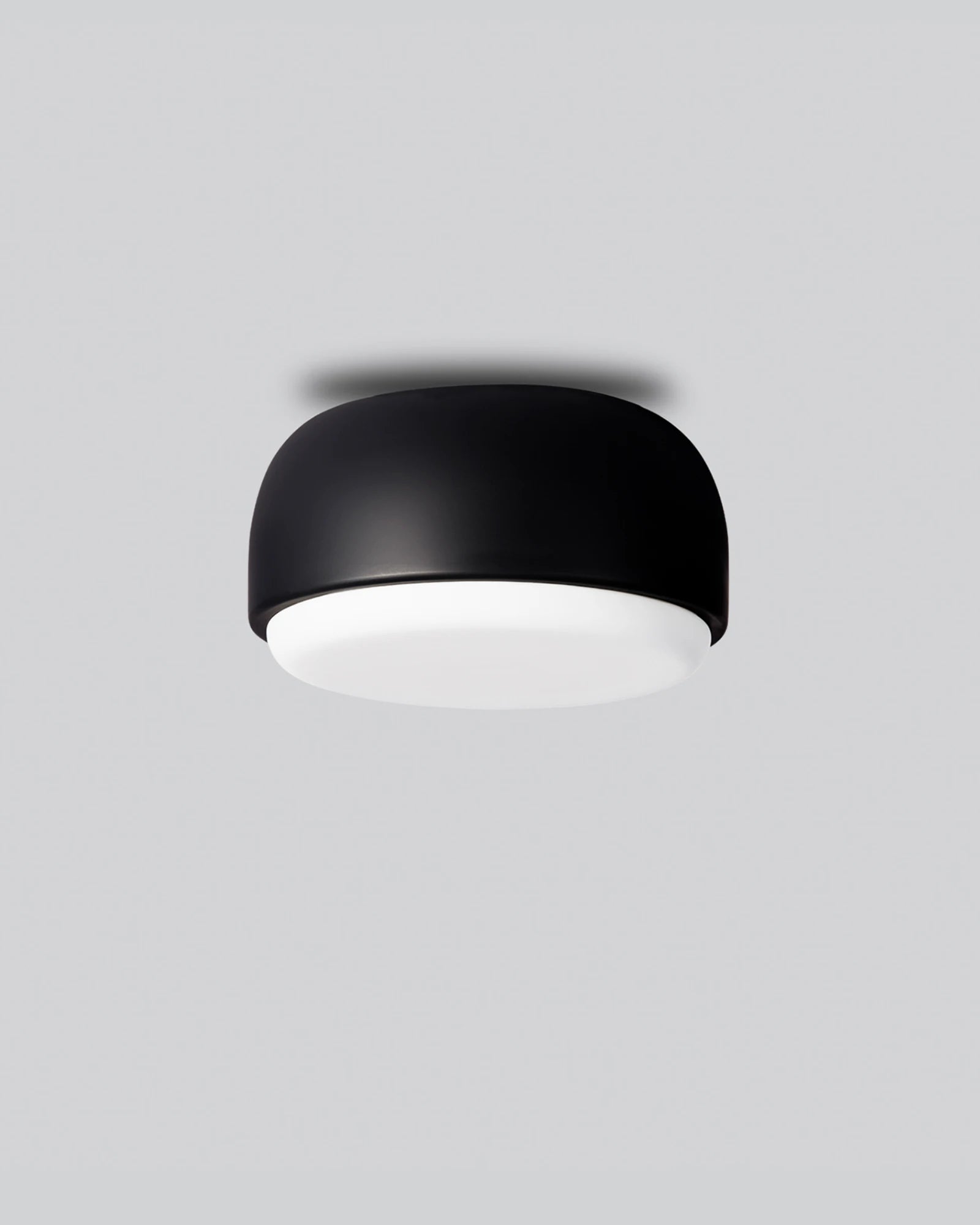 Over Me Ceiling/Wall Light