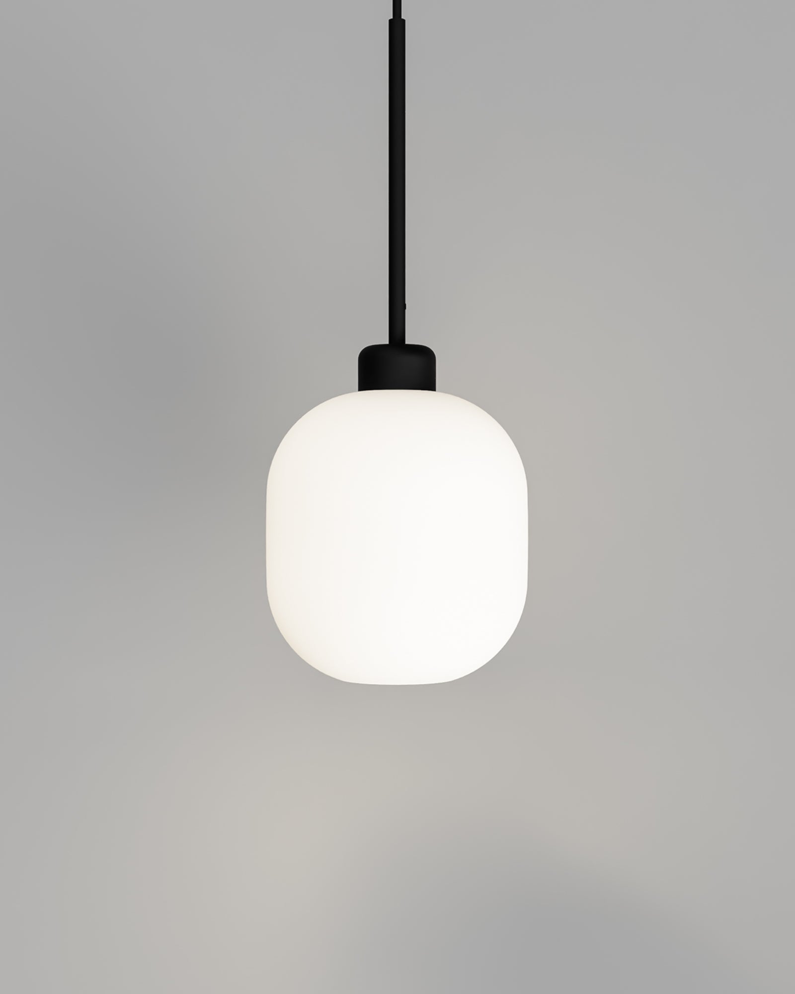 Parlour Lite Curve Pendant Light