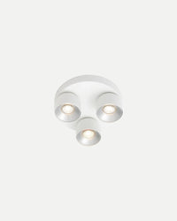 Pitcher 3lt Spotlight