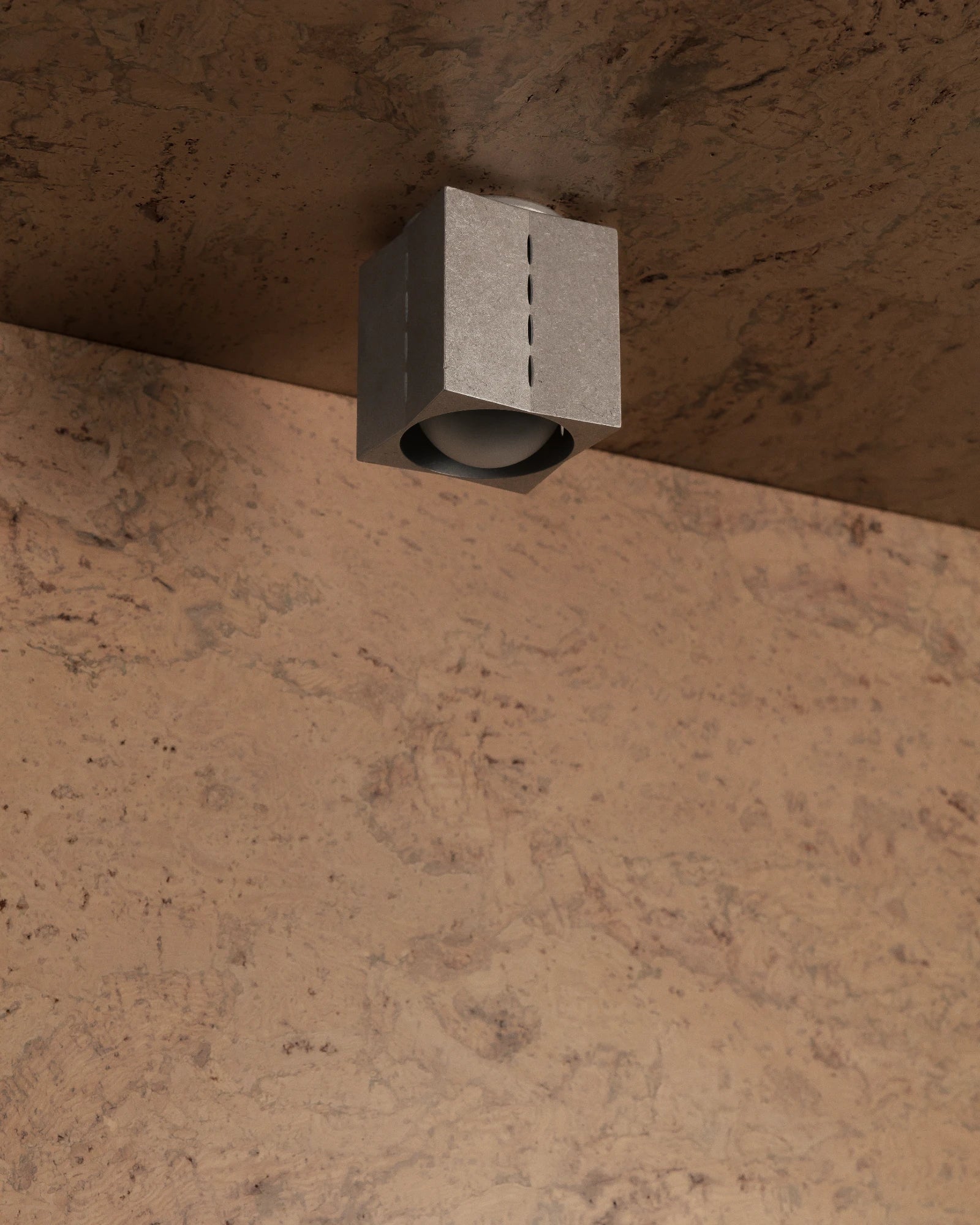 Polaris Ceiling Light