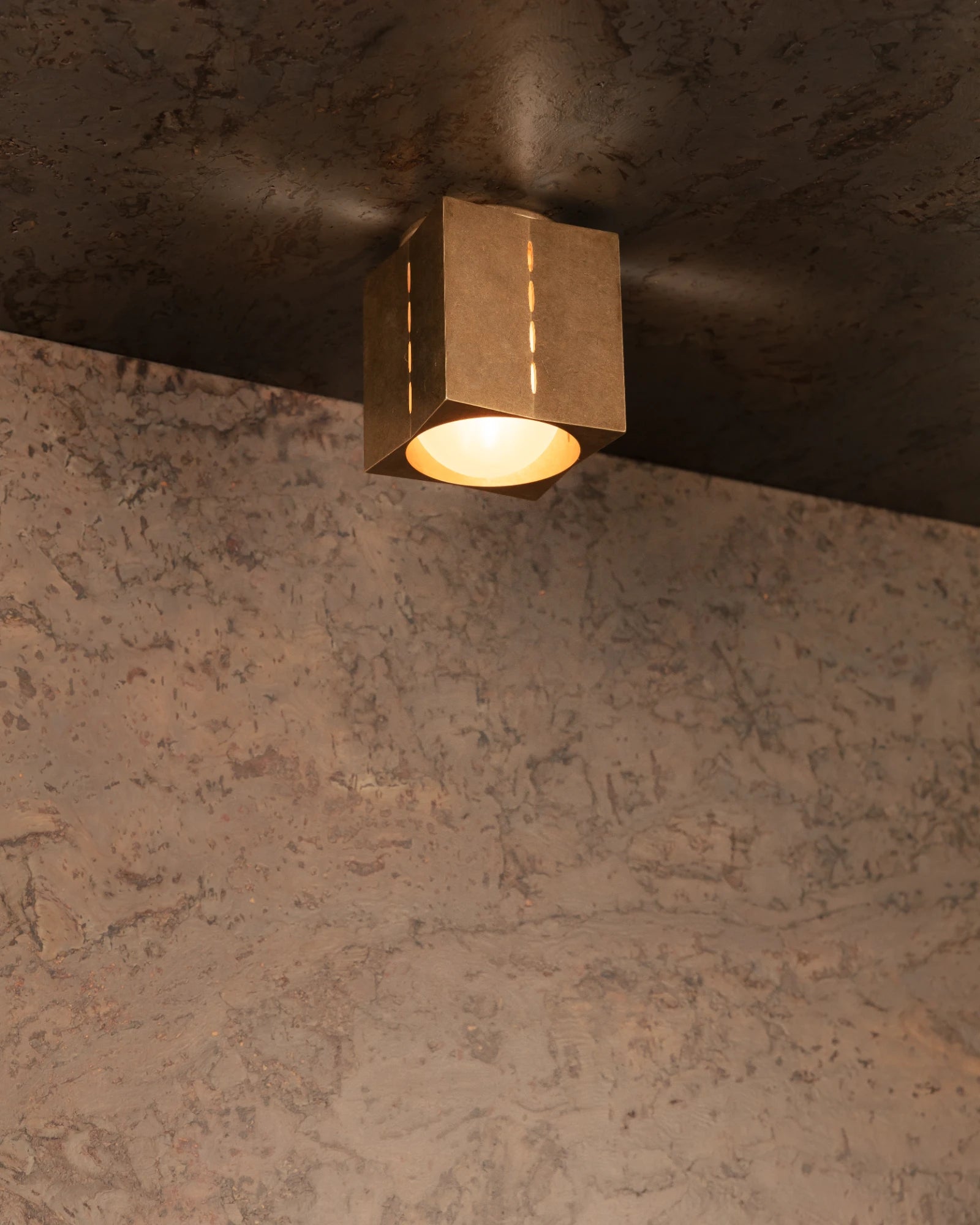Polaris Ceiling Light