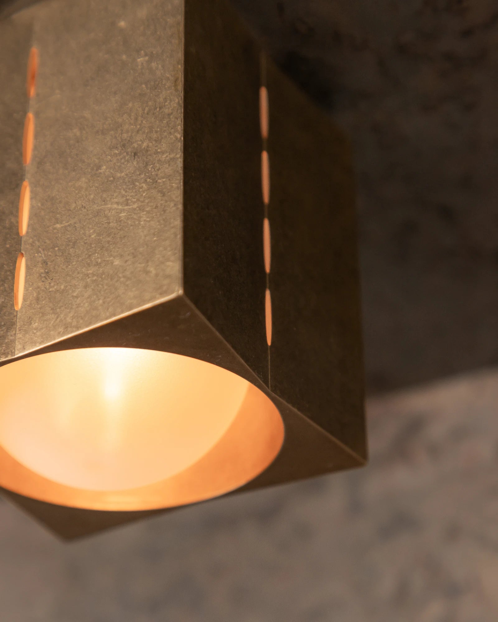 Polaris Ceiling Light