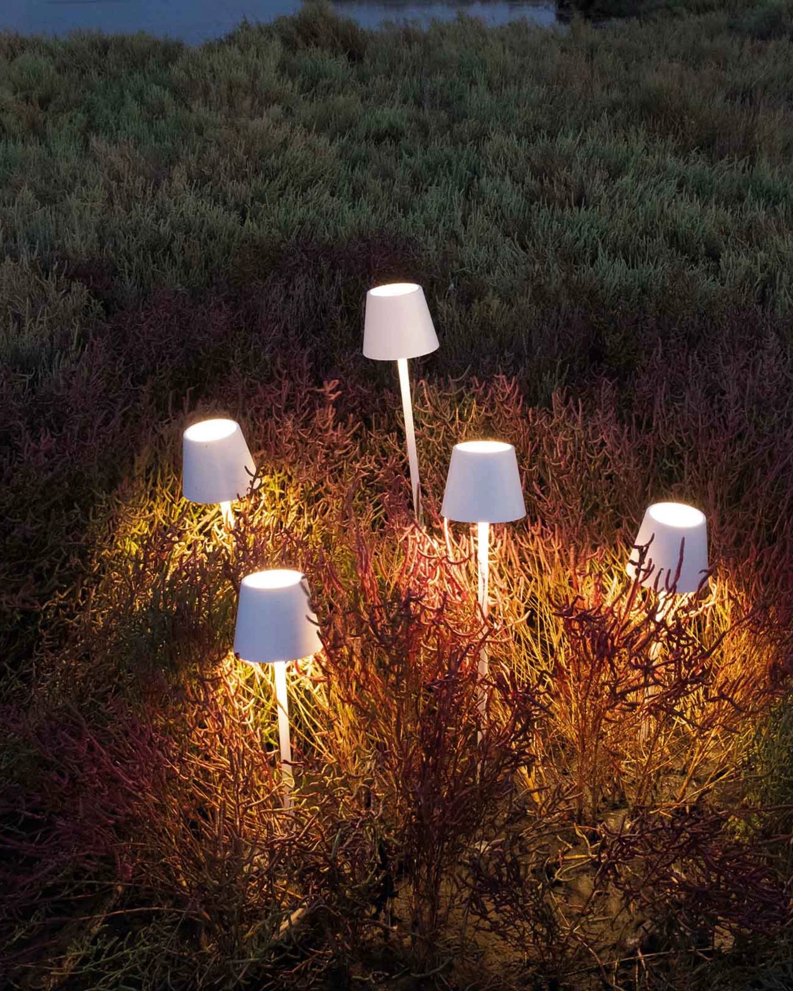 Poldina Table Lamp