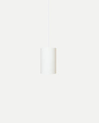 Terra 1lt Pendant Light