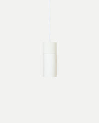 Terra Twin Pendant Light