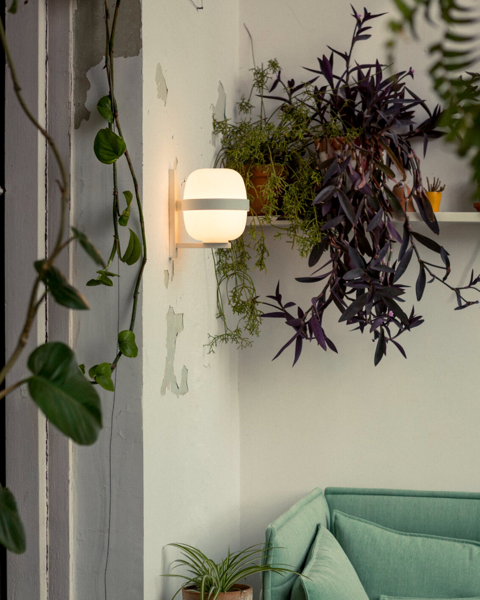 Wally Cestita Wall Light