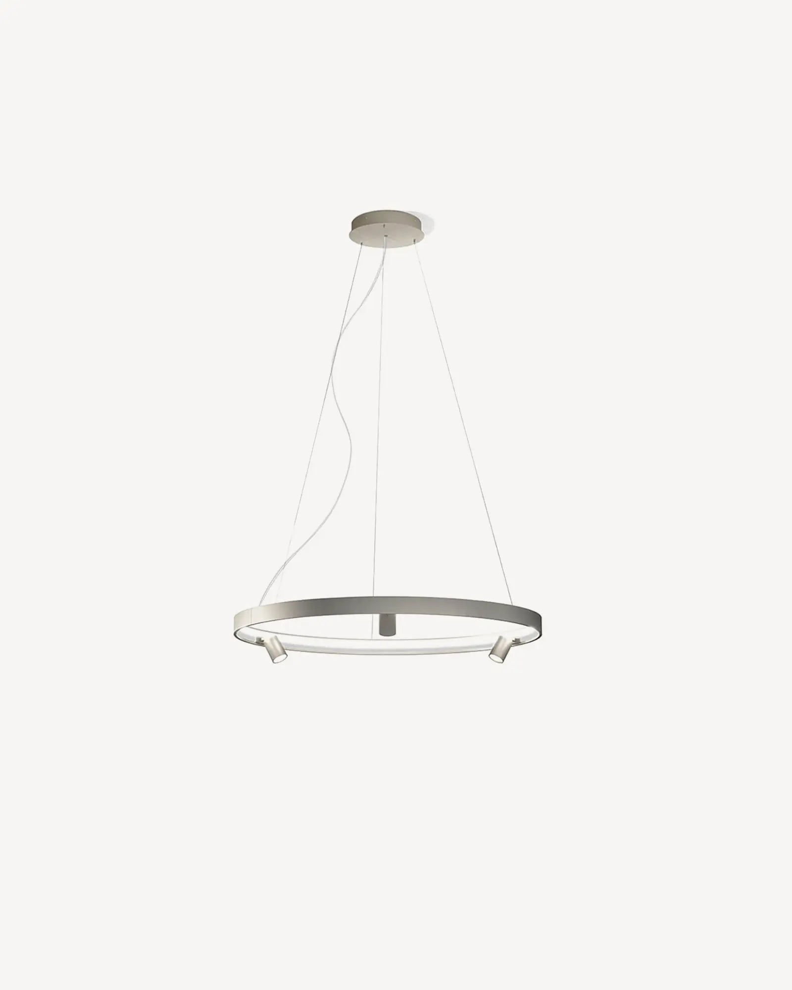 Arena circular pendant light with spotlight titanium small
