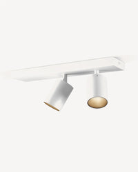 Carl 2 Downlight