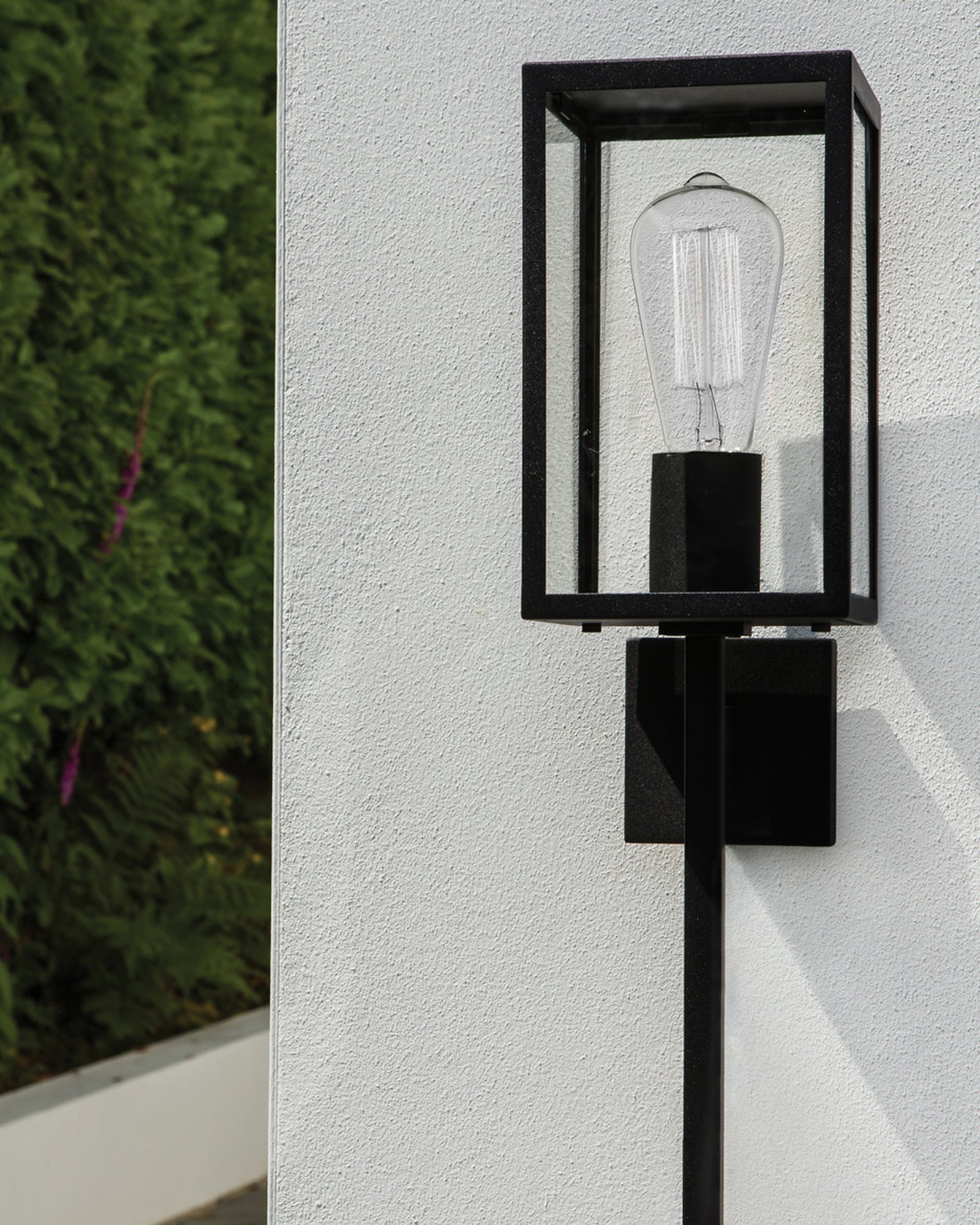 Coach modern lantern style outdoor light in black garden