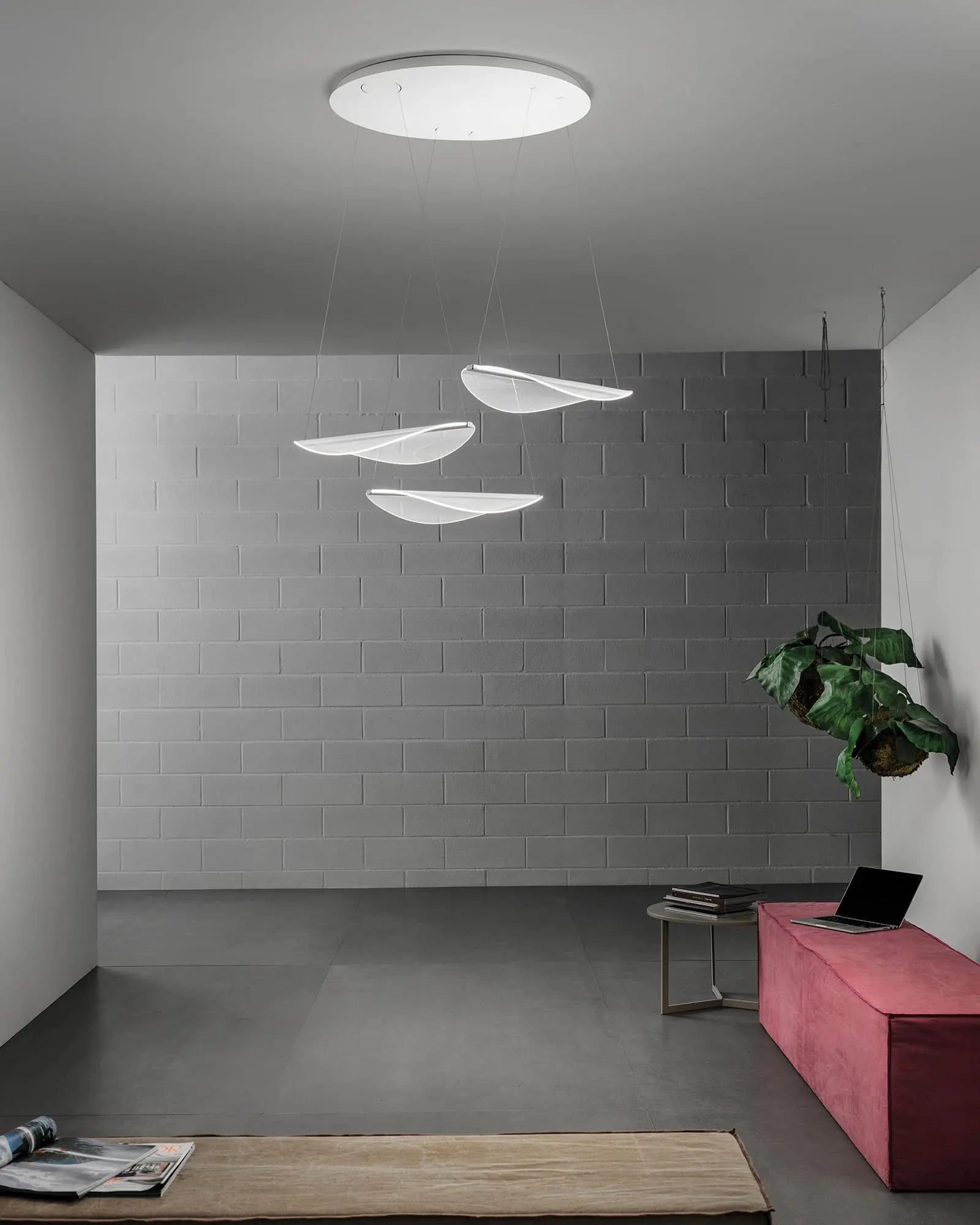 Diphy pendant light above a lounge area