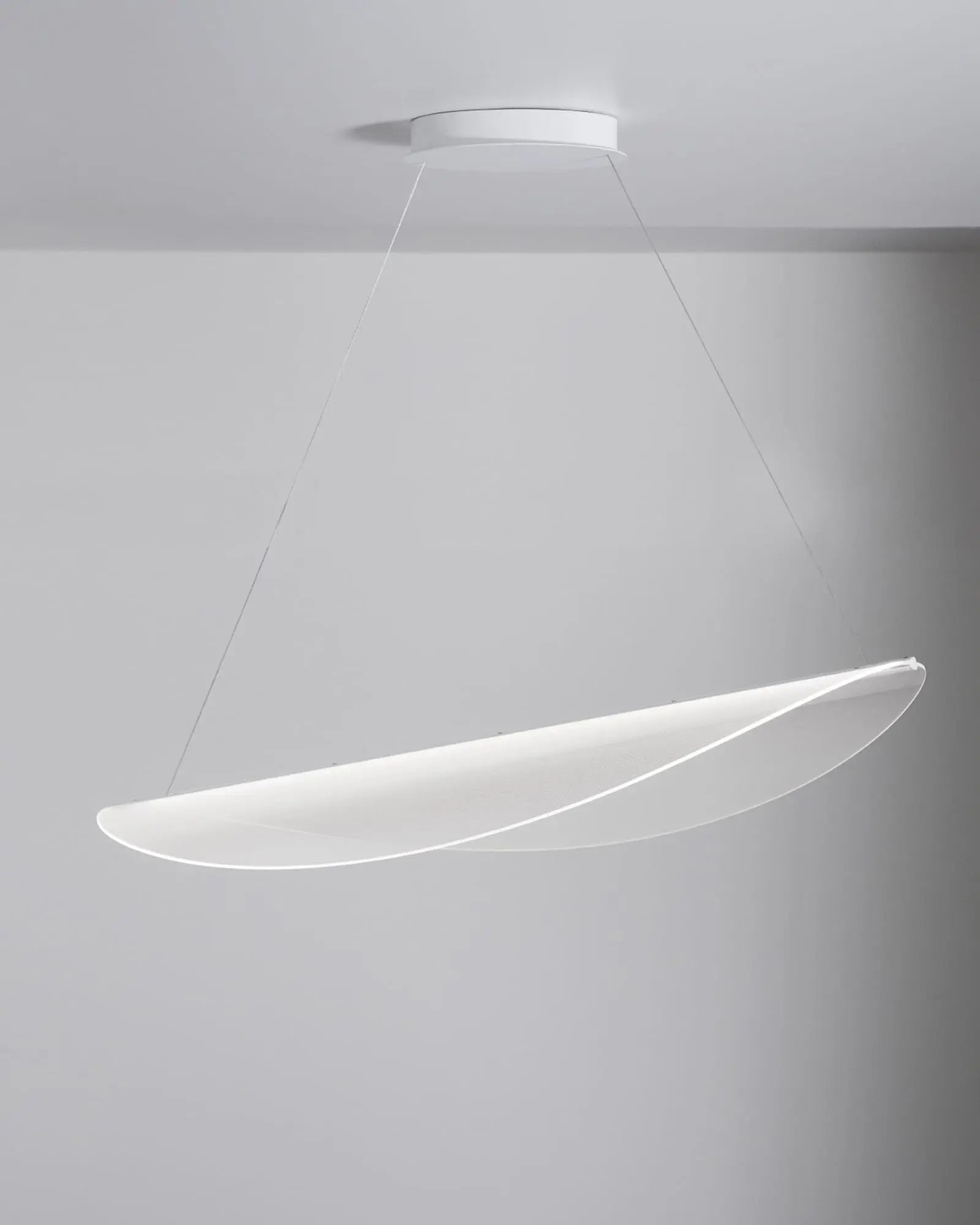 Diphy pendant light
