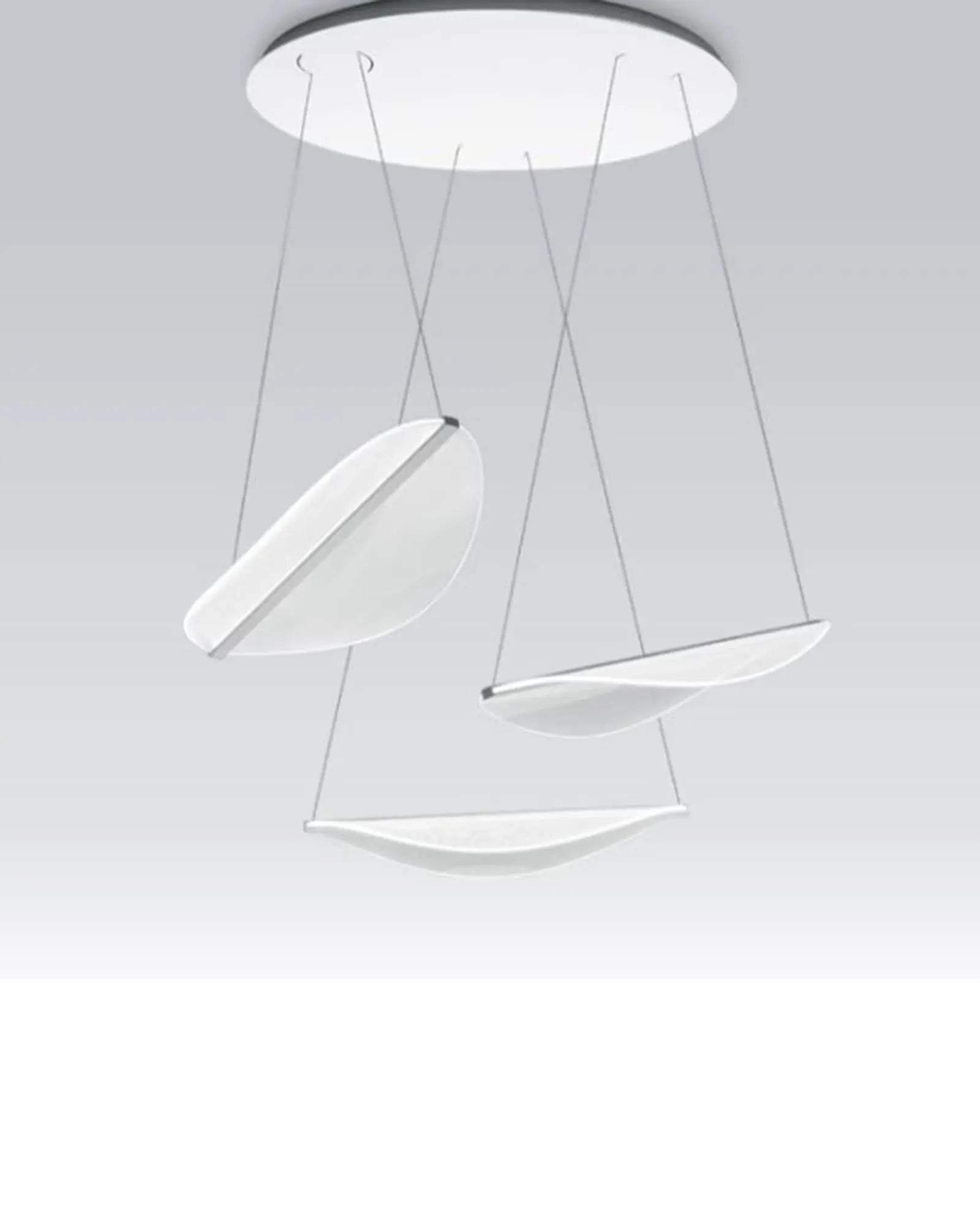 Diphy pendant light