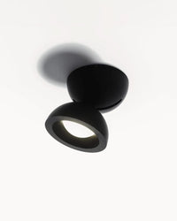 Dodot Wall/Downlight