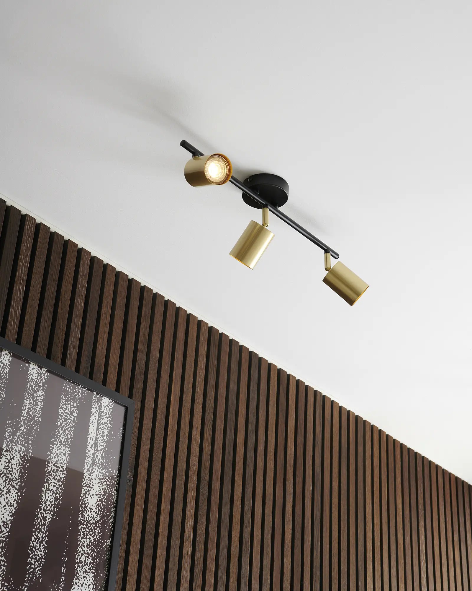 Explore 3 ceiling light showcasing a cladded wall and frame