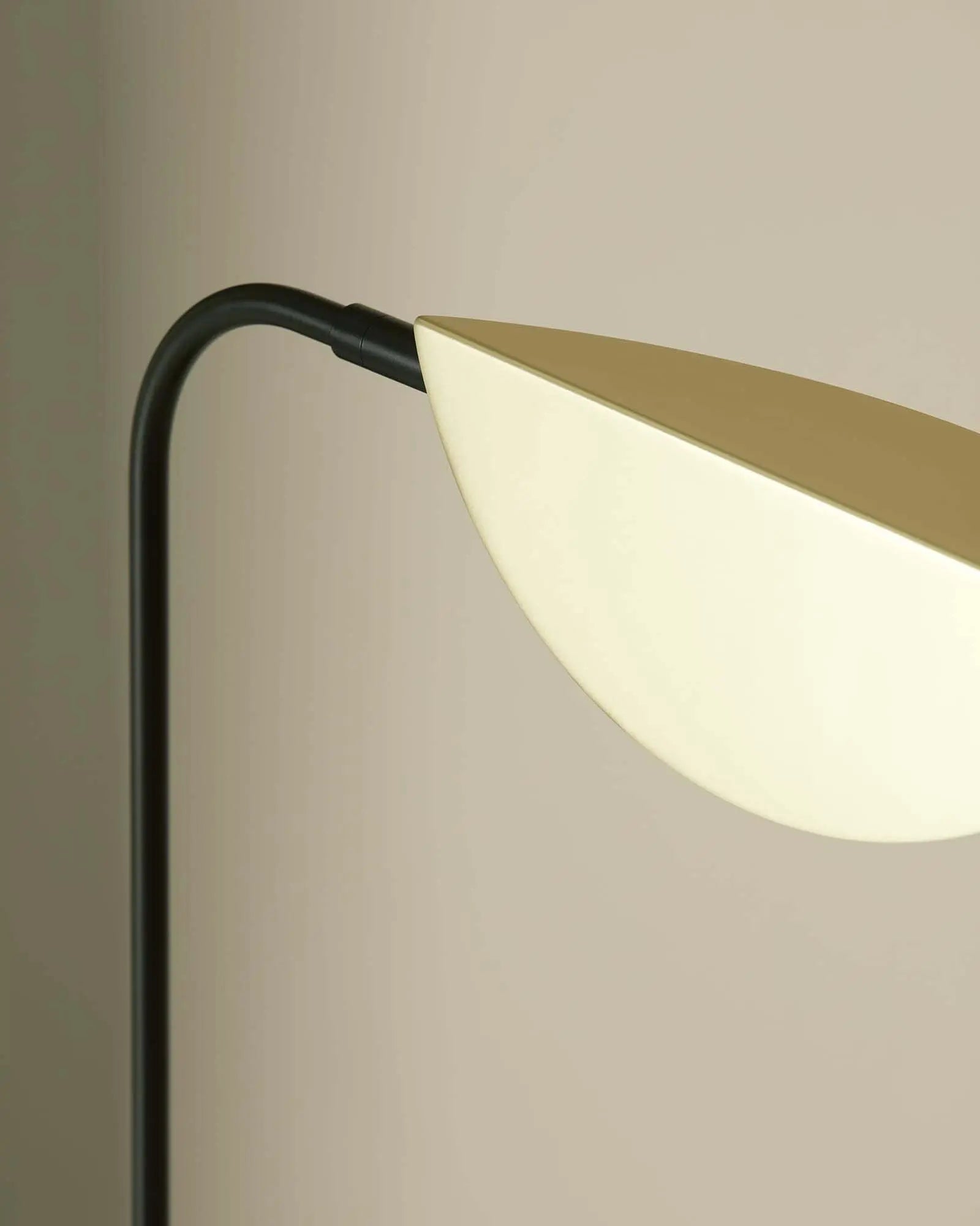 Ficus contemporary minimal table lamp with brass shade sizes