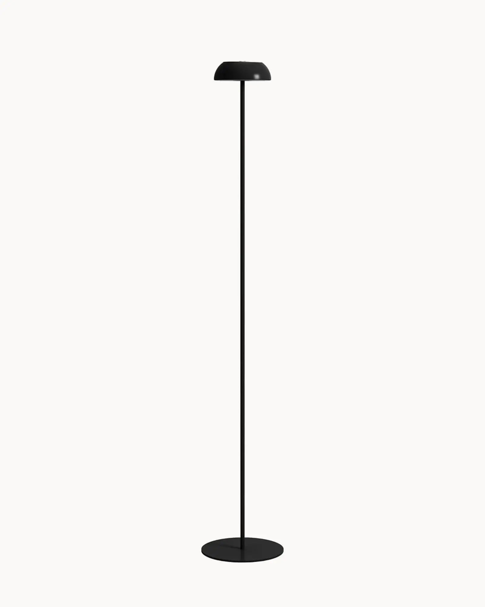 Float outdoor and indoor rechargeable floor lamp