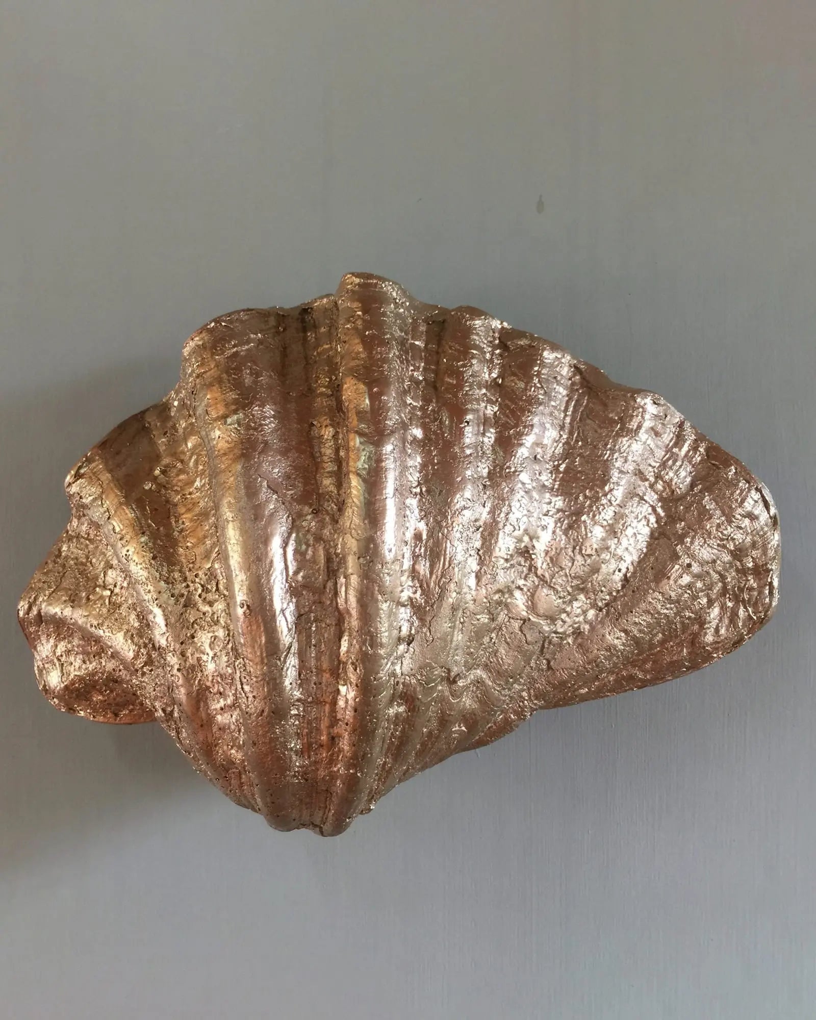 Fluted shell wall light