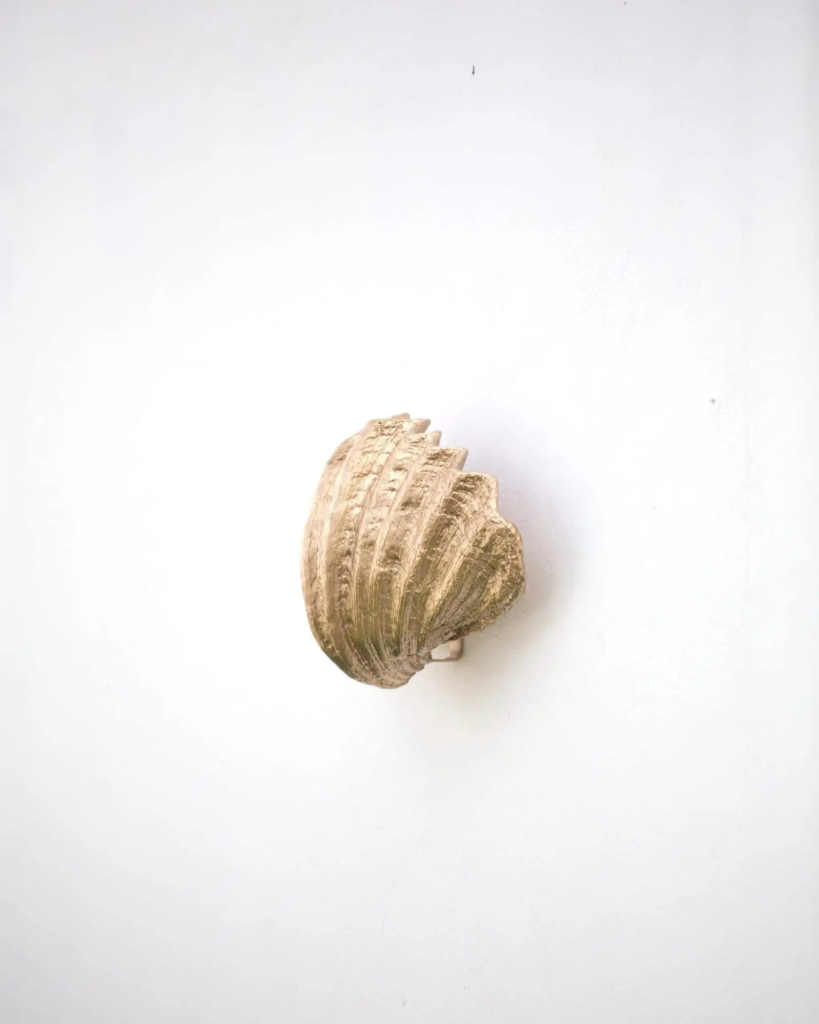 Fluted shell wall light