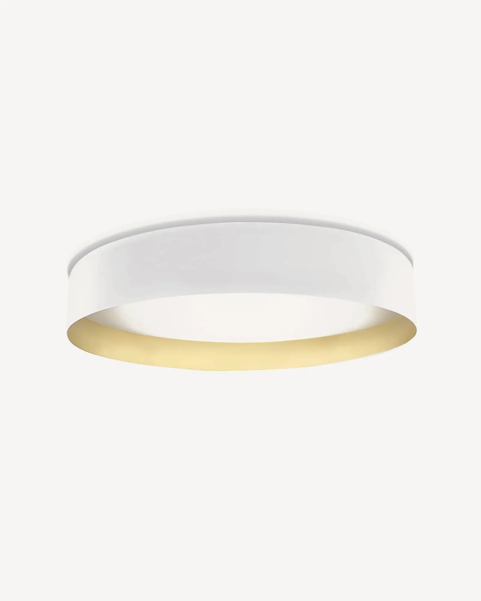 Ginevra Ceiling Light