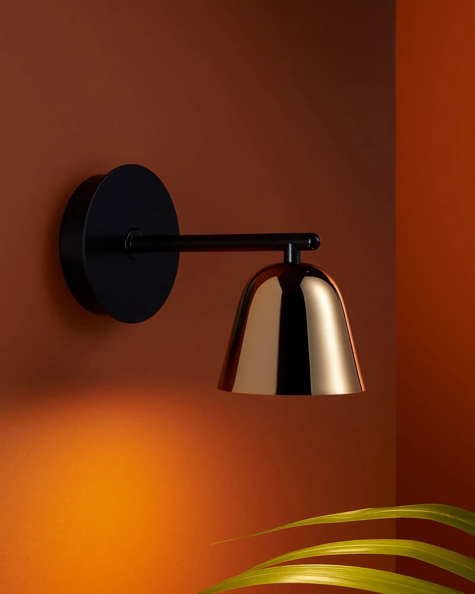 Lighto contemporary elegant wall light above a plant