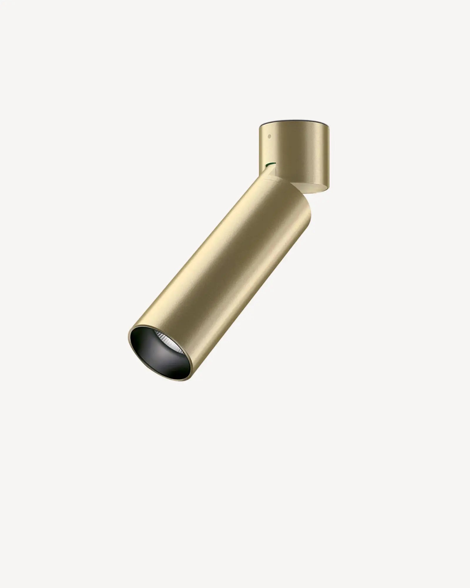 Lola adjustable Downlight