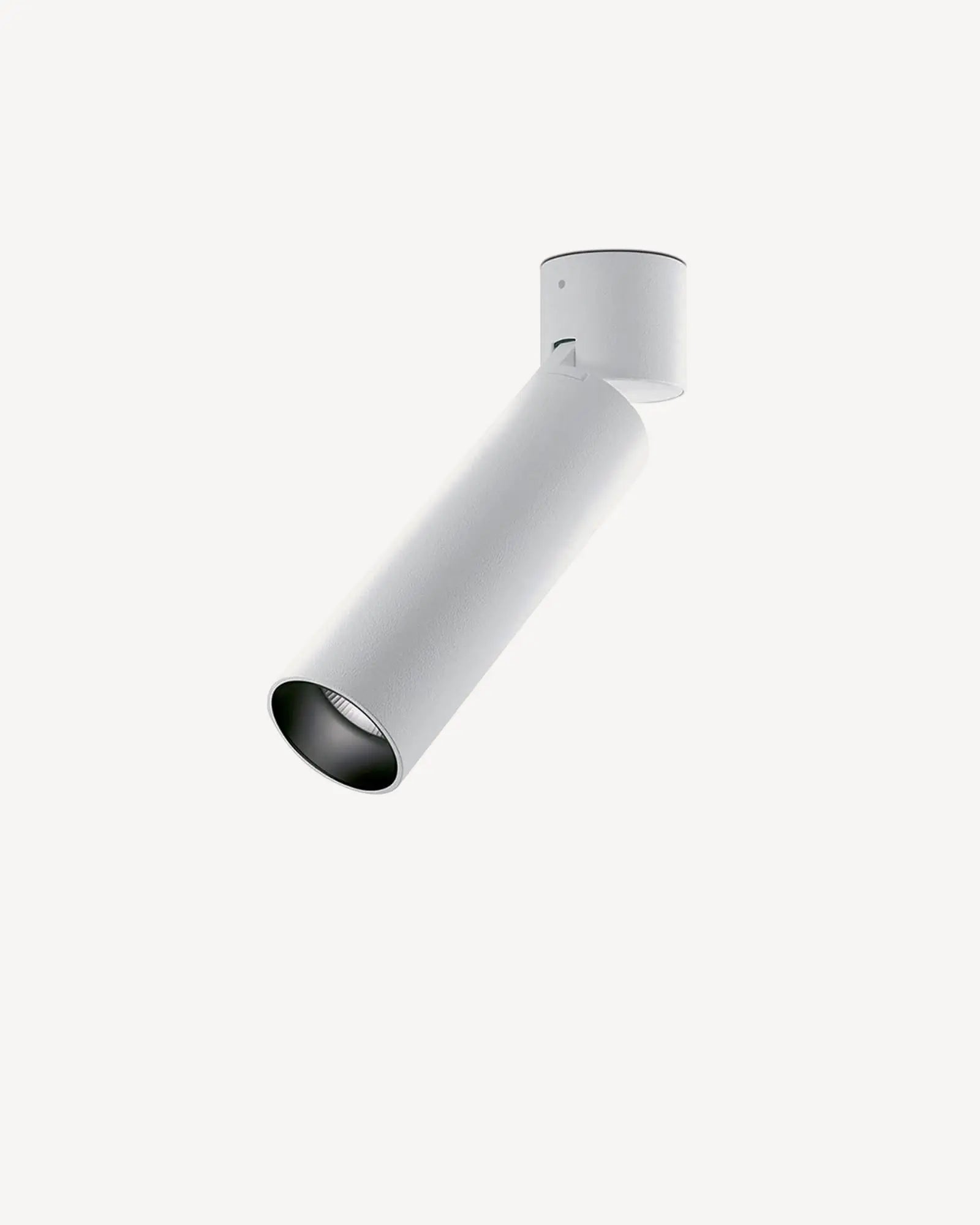 Lola adjustable Downlight