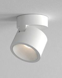 Lynx Downlight