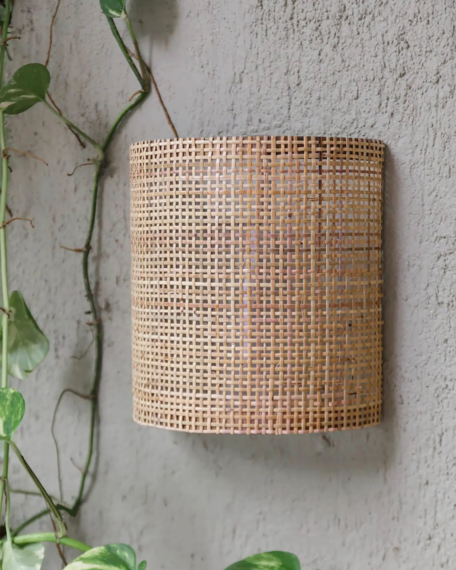 Marquesas wall light
