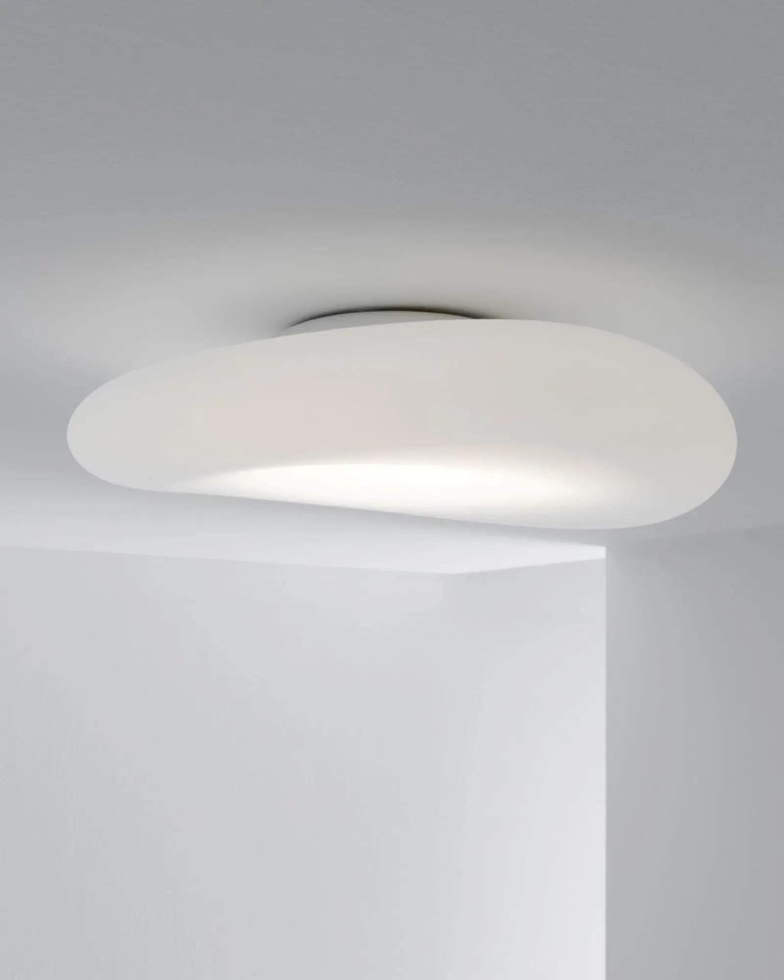 Mr Magoo ceiling light