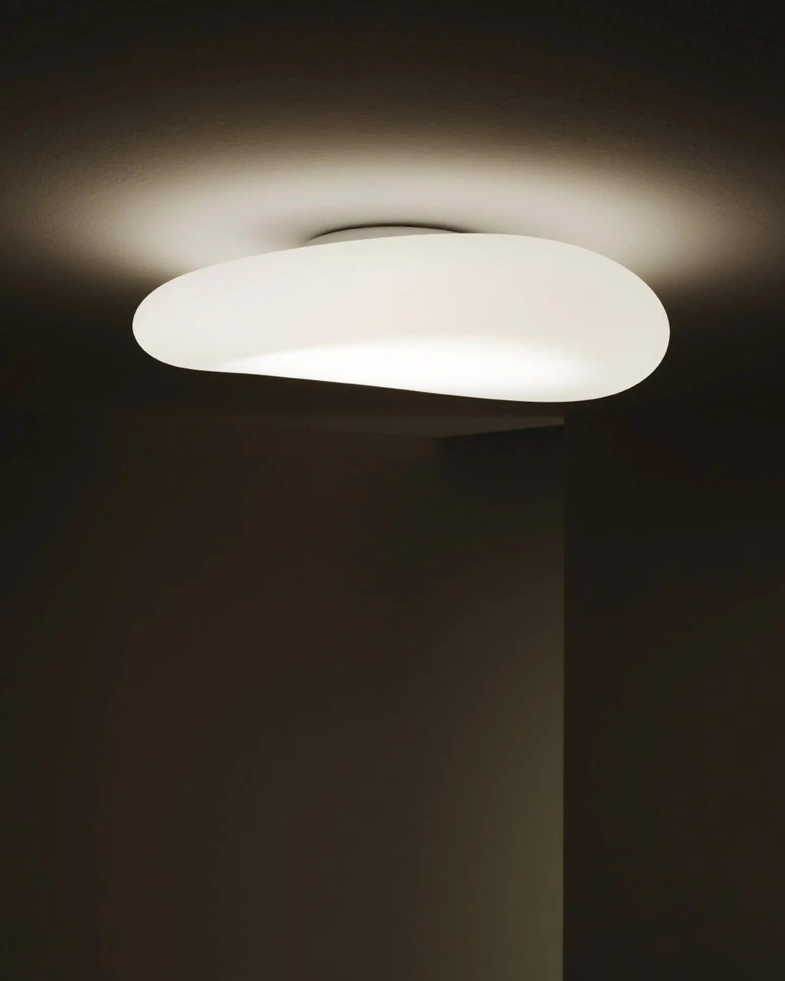 Mr Magoo ceiling light