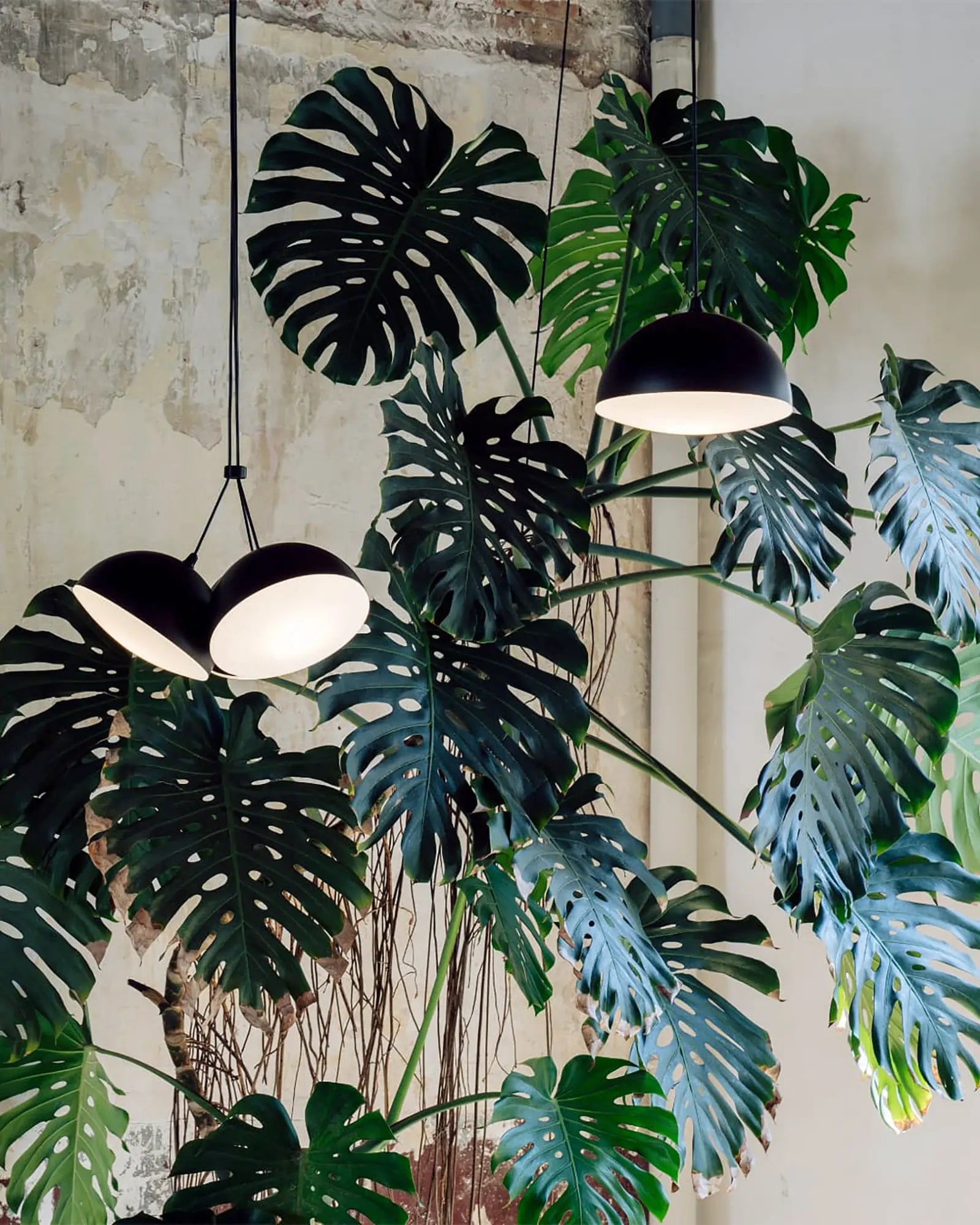 Nod pendant light
