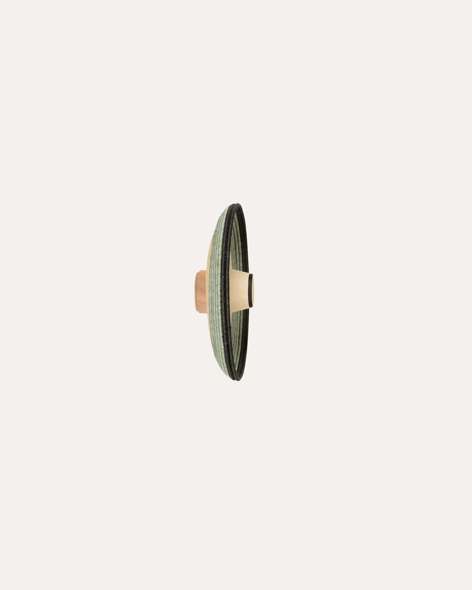 Grass Wall Light