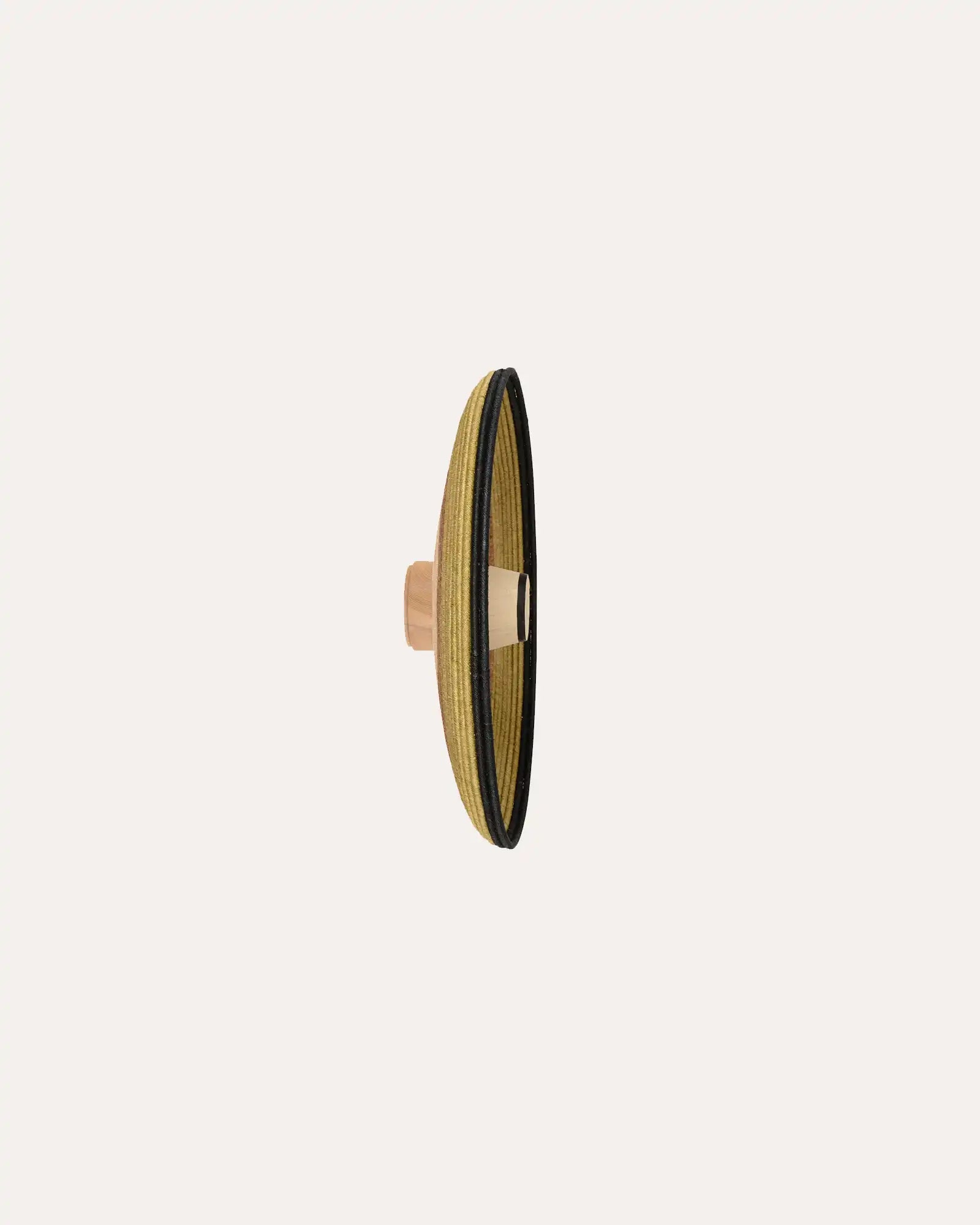 Grass Wall Light