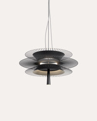 Gravity 2 Pendant Light