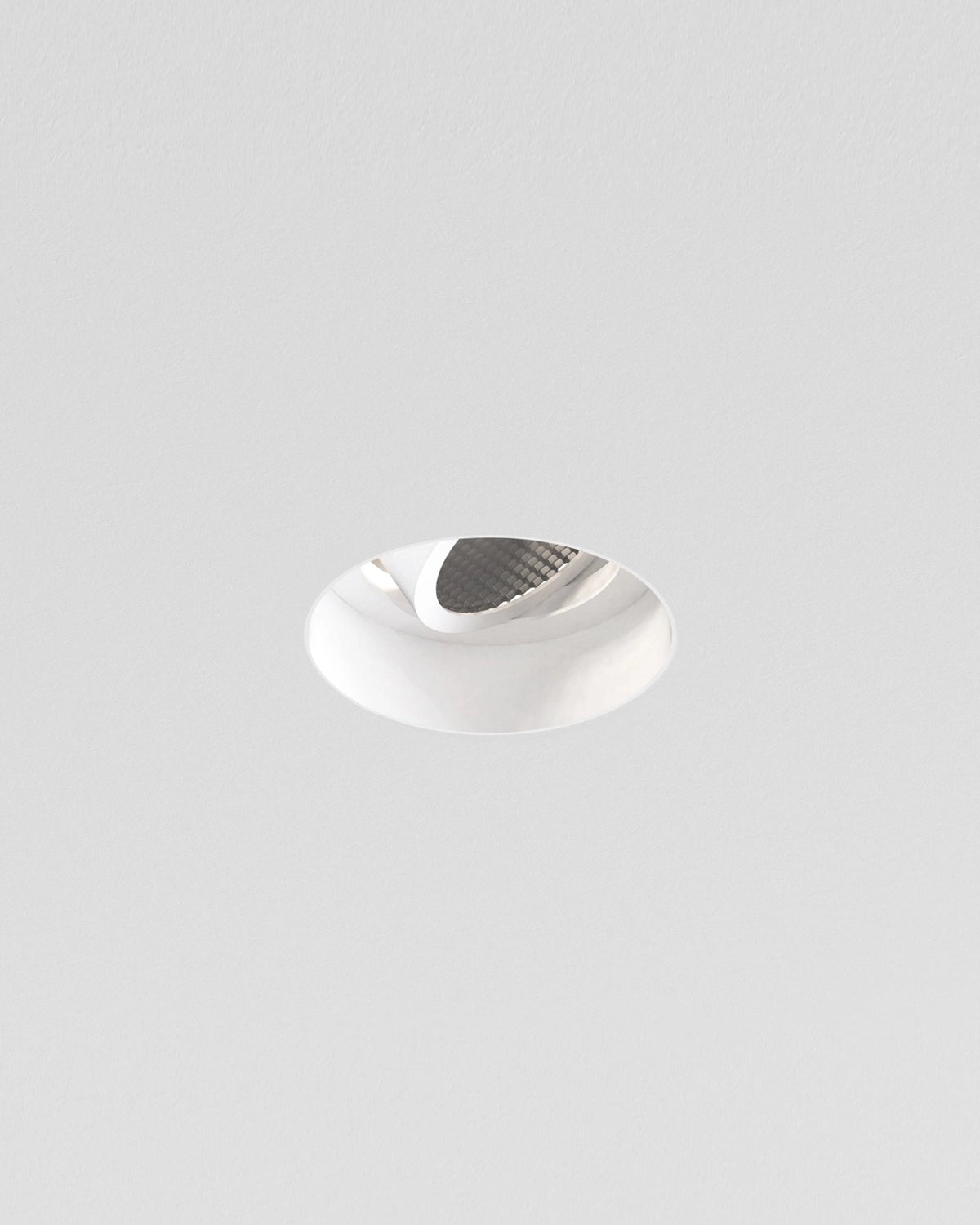 Trimless Round Adjustable Downlight