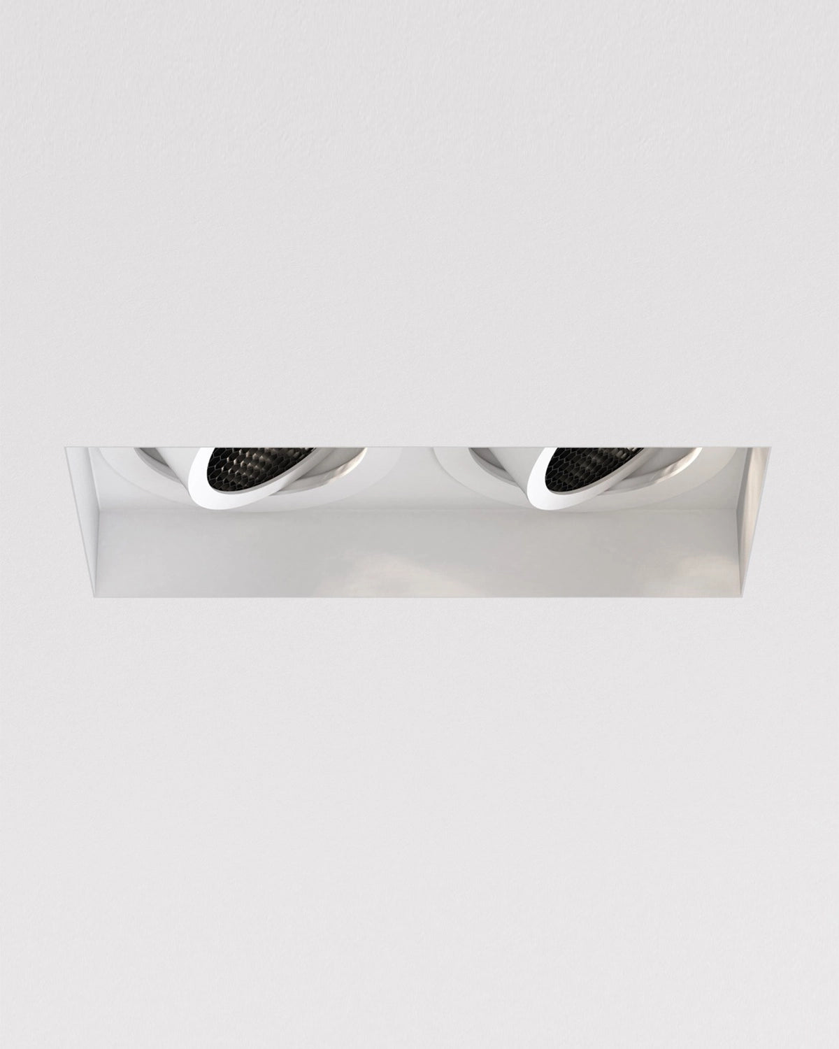 Trimless Twin Adjustable Downlight