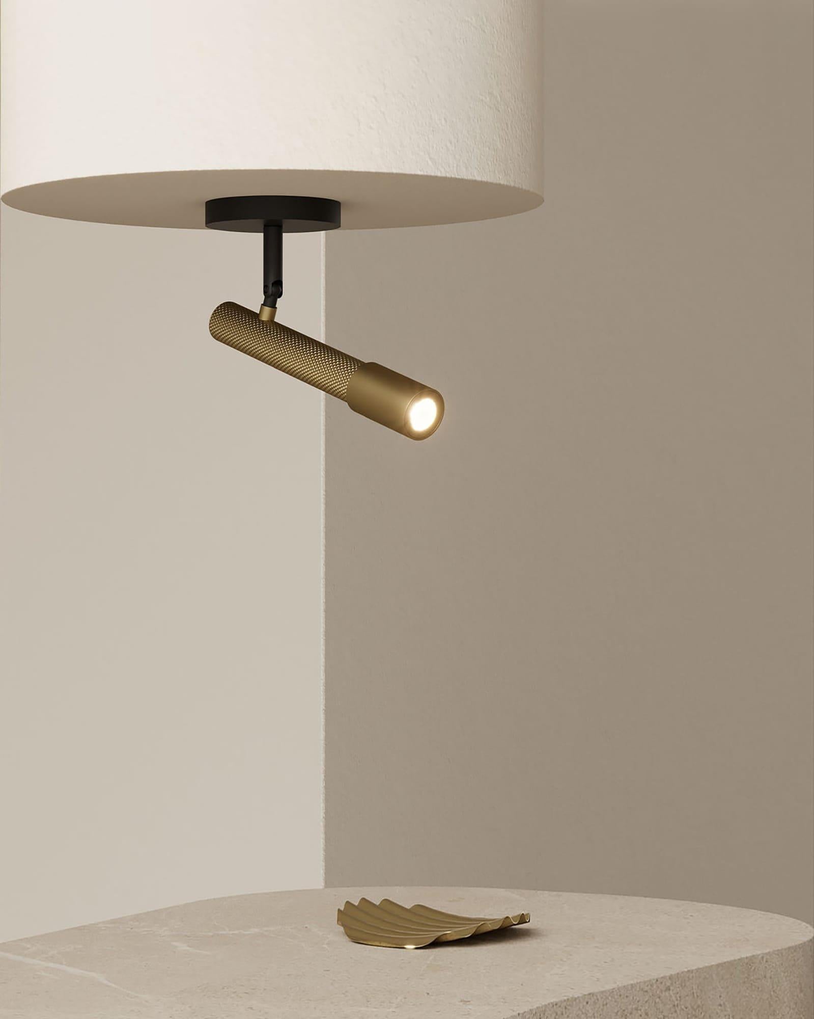 Ycro spotlight, contemporary downlight in matte black and brass