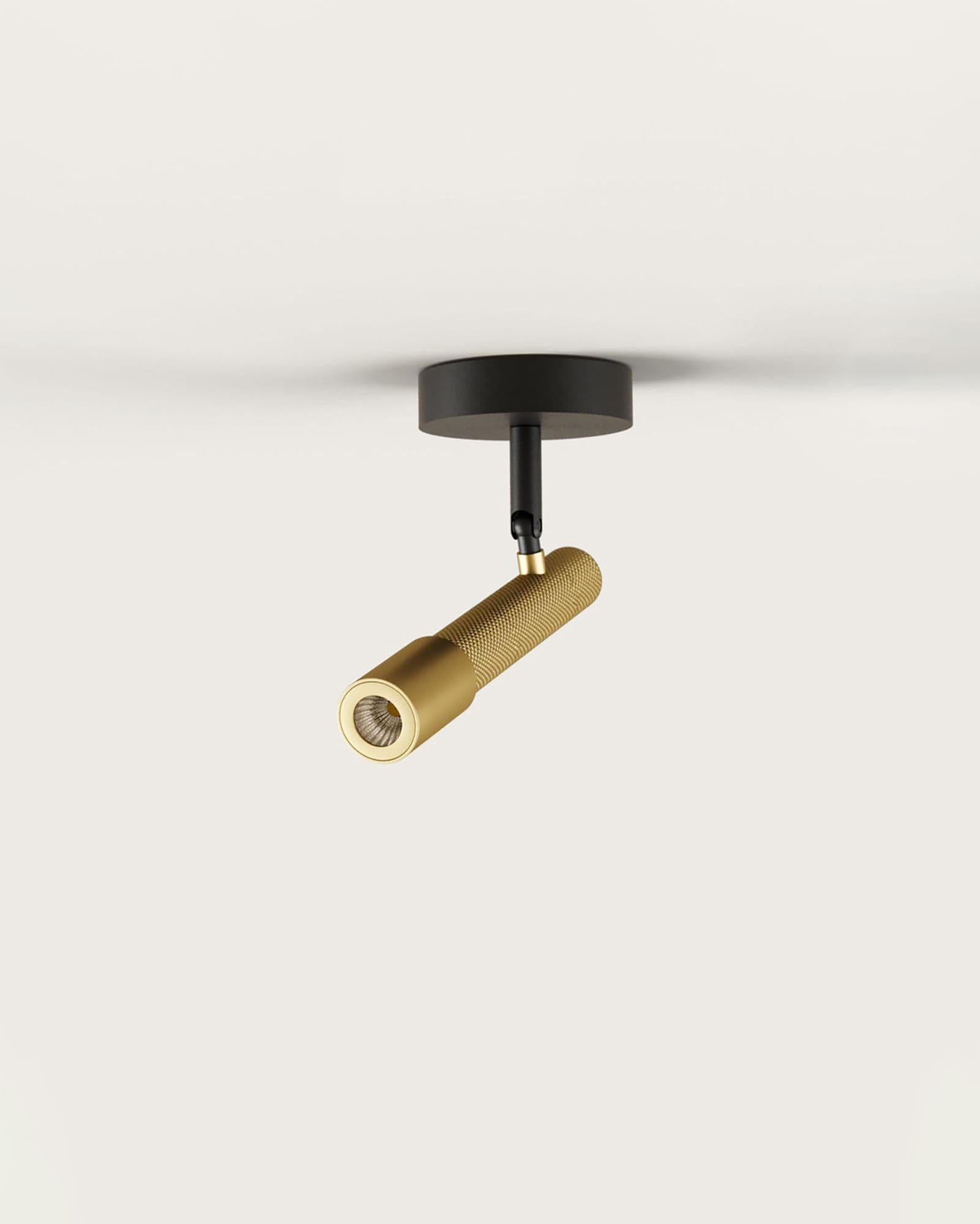 Ycro spotlight, contemporary downlight in matte black and brass