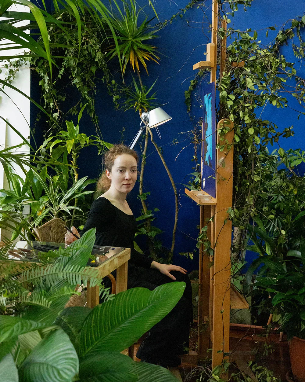 The Art & Light Series