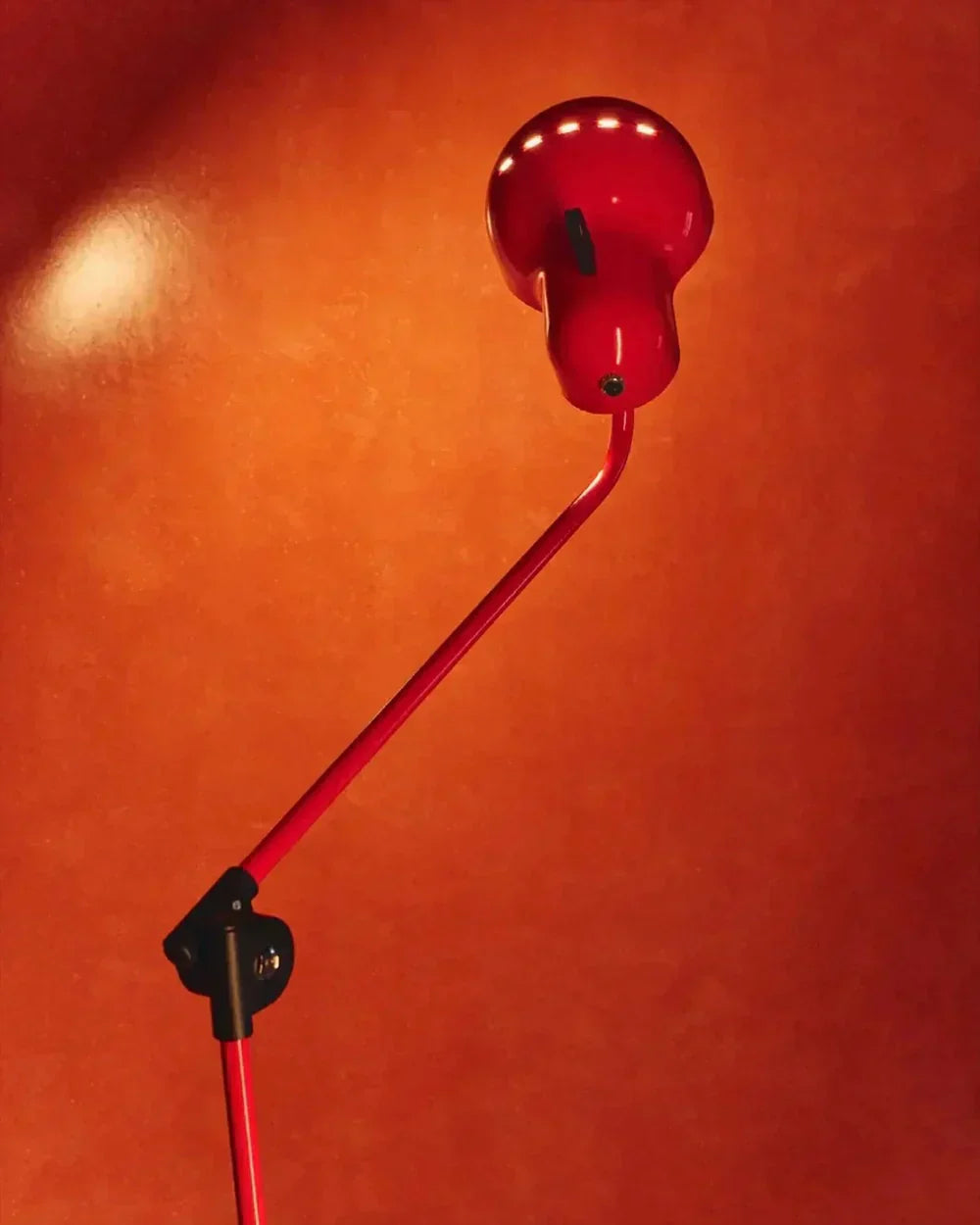 Bold Colours: Your Lighting Guide