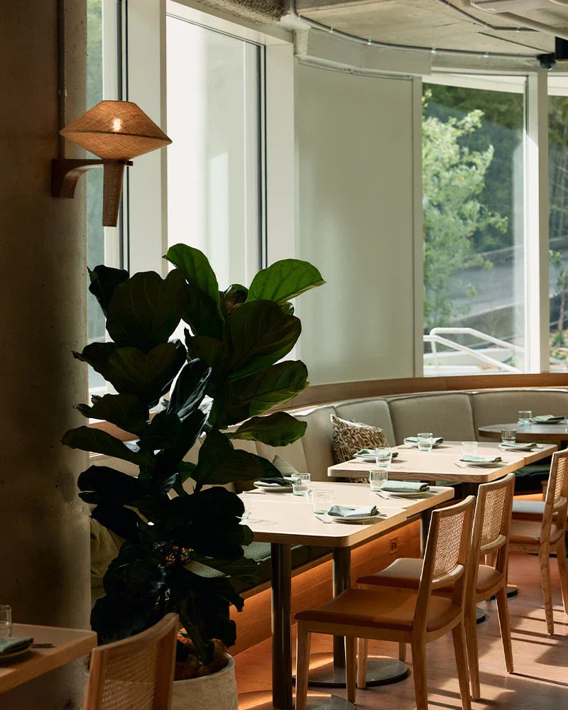 Project: Soluna Restaurant